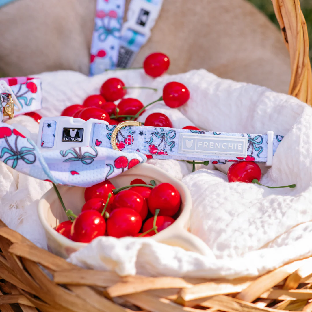 Frenchie Comfort Collar - Cherries Blue - Image 3