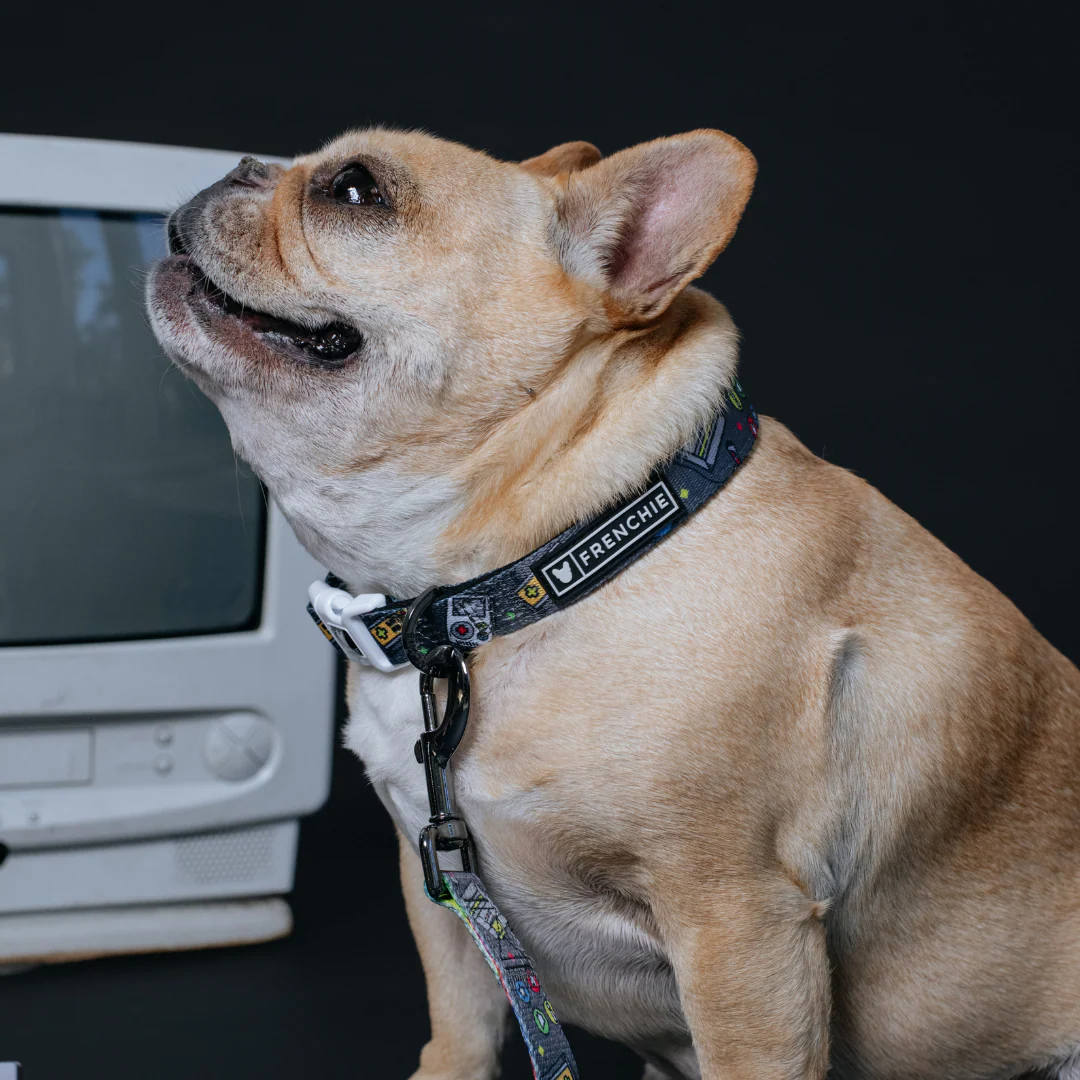 Frenchie Comfort Collar - Gamer - Image 2