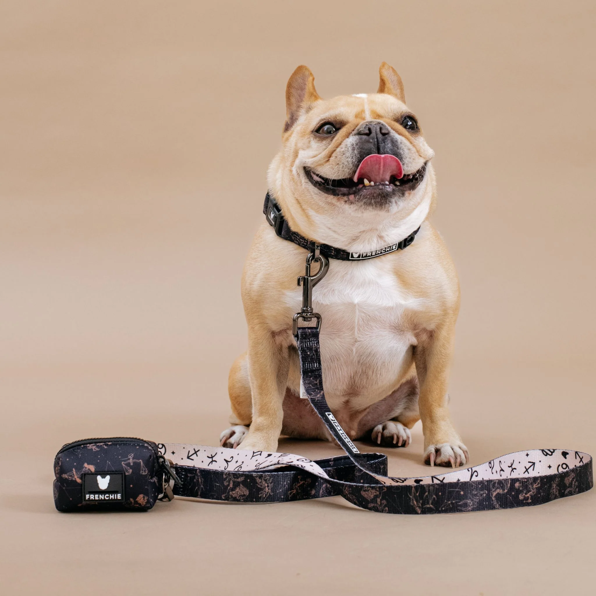 Frenchie Comfort Collar - Horoscope - Image 2