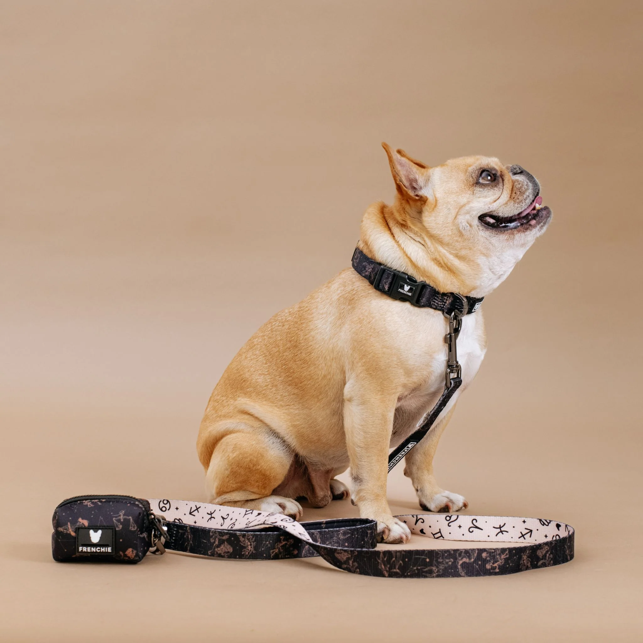 Frenchie Comfort Collar - Horoscope - Image 3
