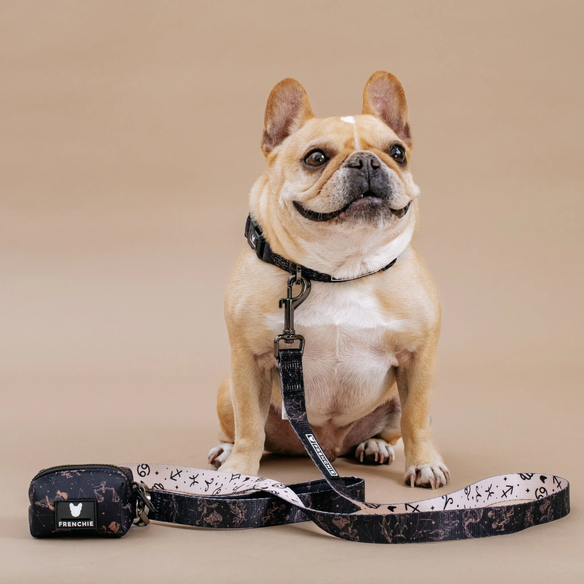 Frenchie Comfort Collar - Horoscope - Image 4