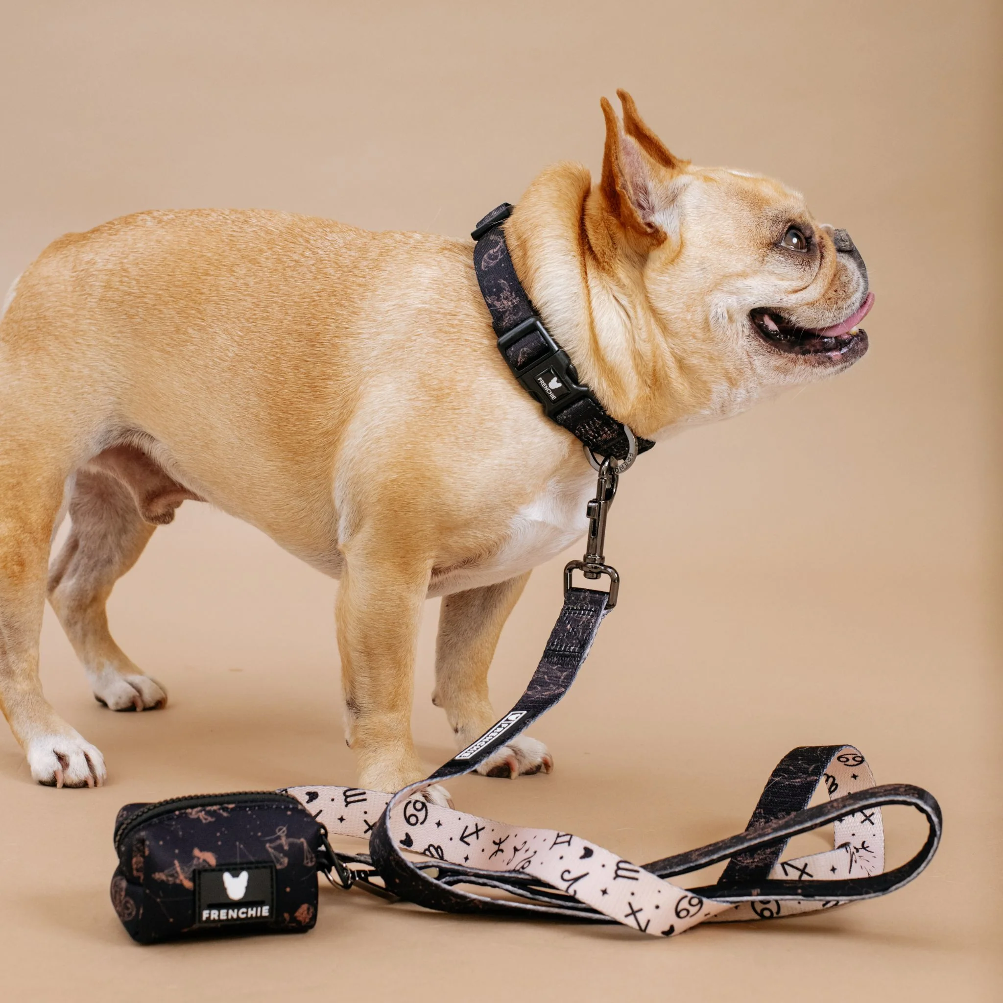 Frenchie Comfort Collar - Horoscope - Image 5