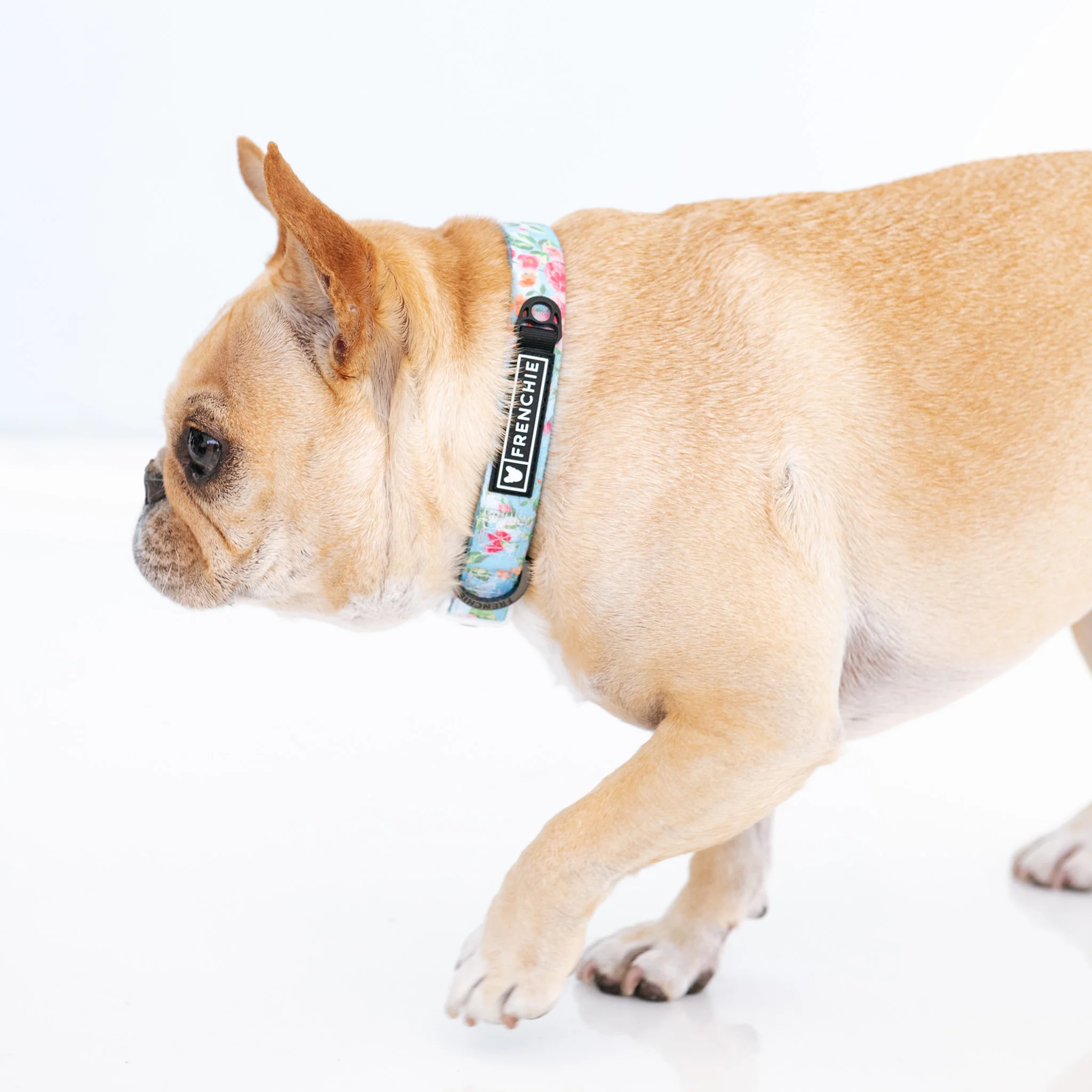 Frenchie Comfort Collar - Secret Garden - Image 2
