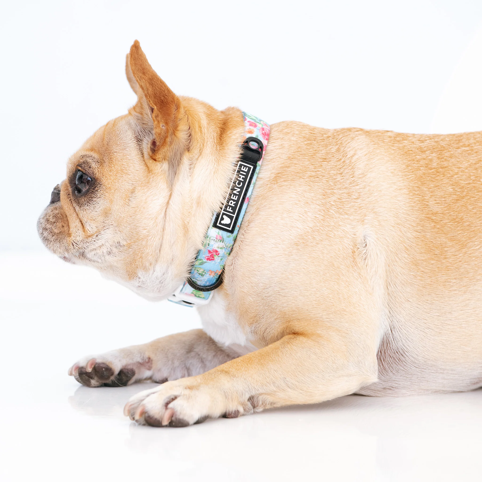 Frenchie Comfort Collar - Secret Garden - Image 3