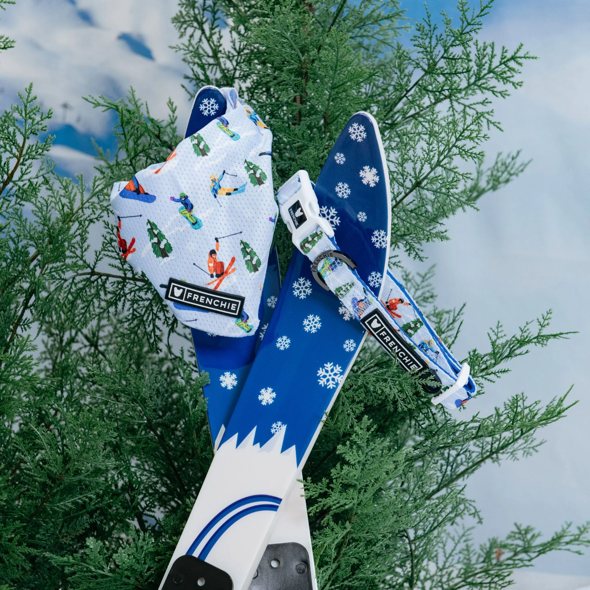 Frenchie Comfort Collar - Ski Club - Image 2