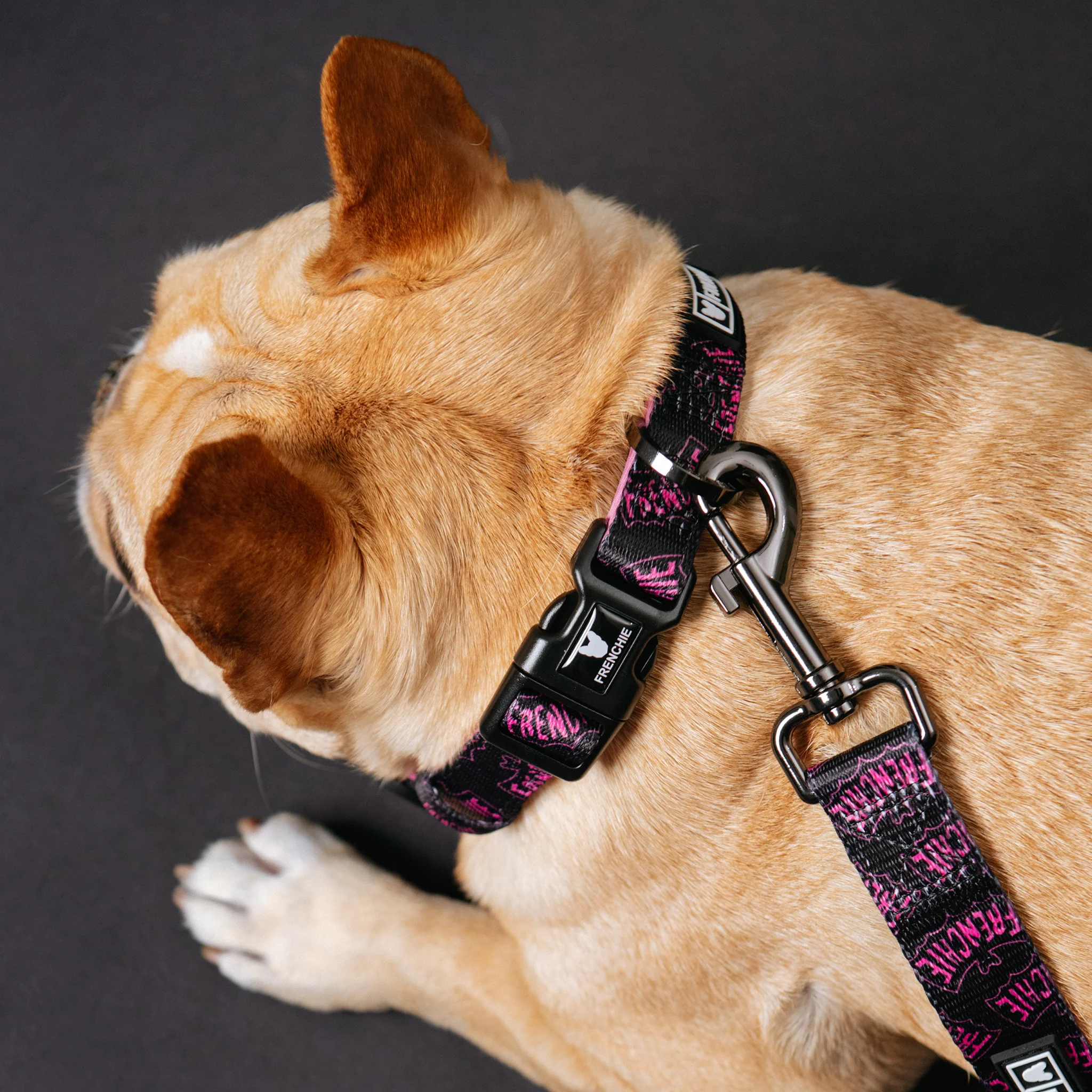 Frenchie Comfort Collar - Super Pig (Pink) - Image 2