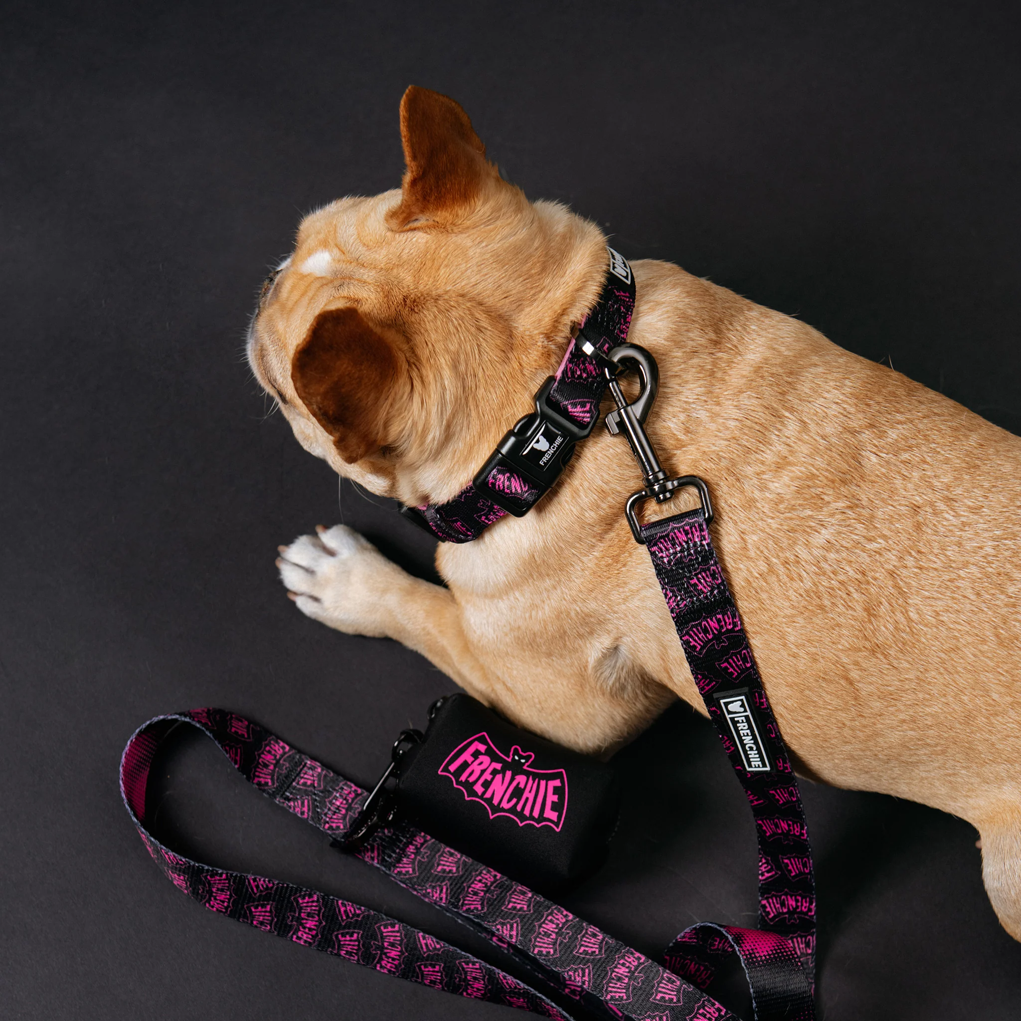 Frenchie Comfort Collar - Super Pig (Pink) - Image 3