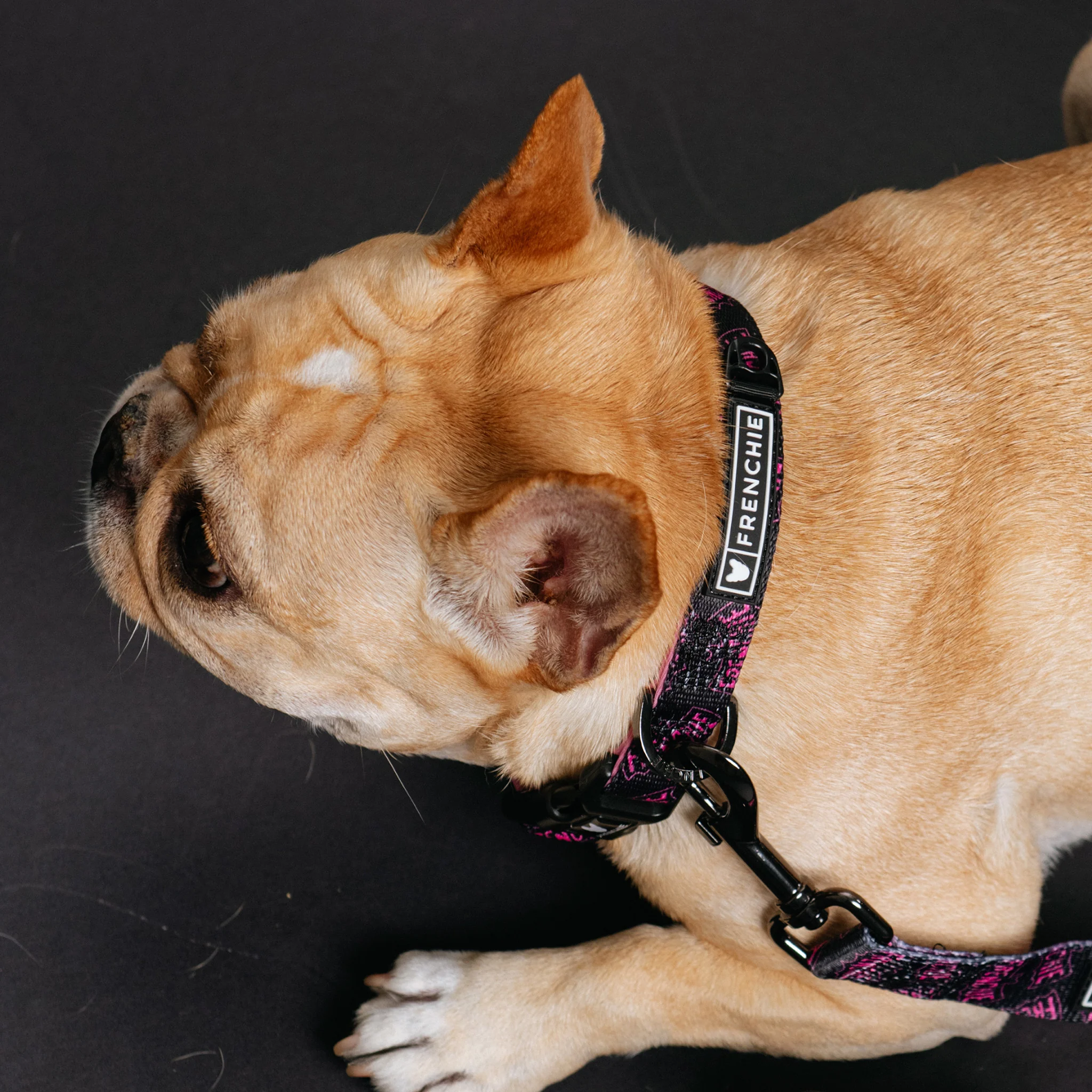 Frenchie Comfort Collar - Super Pig (Pink) - Image 4