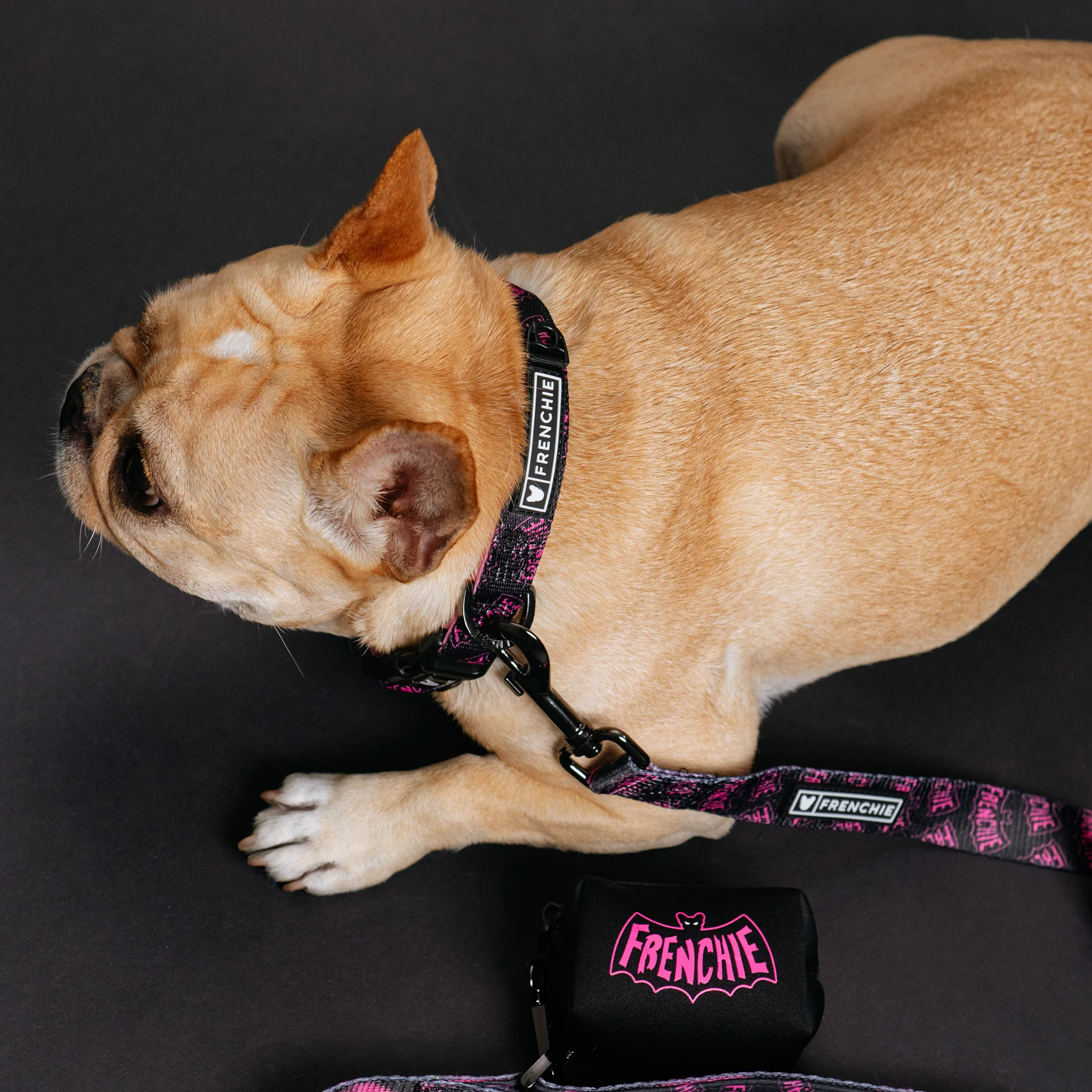 Frenchie Comfort Collar - Super Pig (Pink) - Image 5