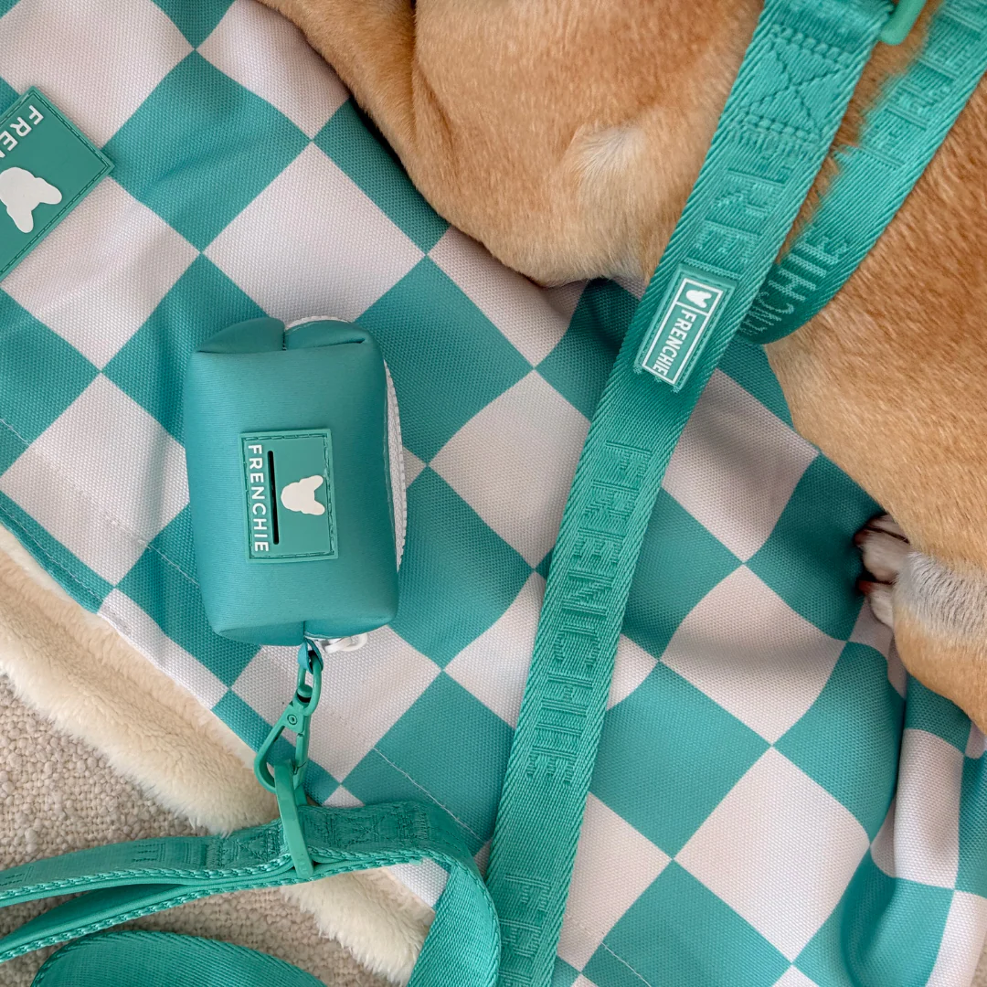 Frenchie Comfort Leash - Solid Aqua - Image 4