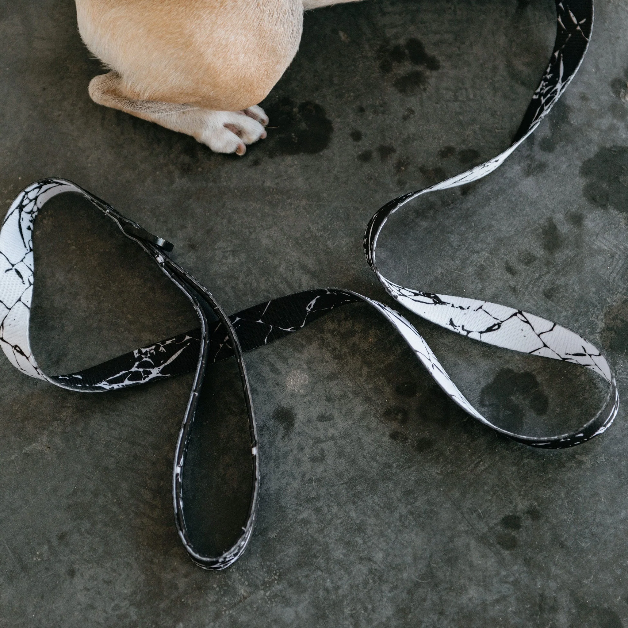 Frenchie Comfort Leash - Black Marble - Image 3