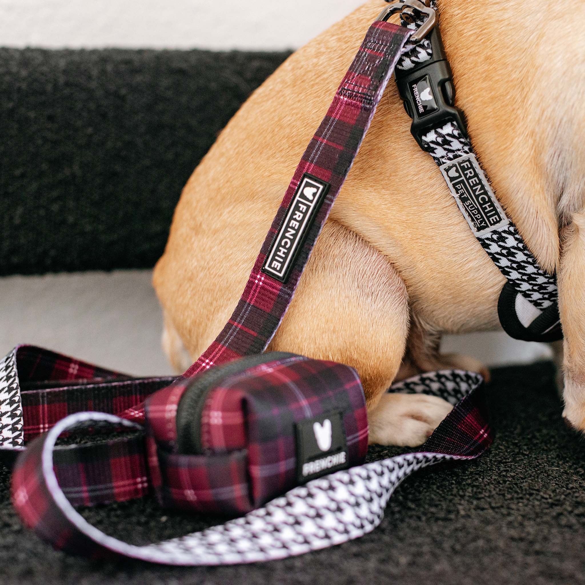 Frenchie Comfort Leash - Classic Plaid - Image 2