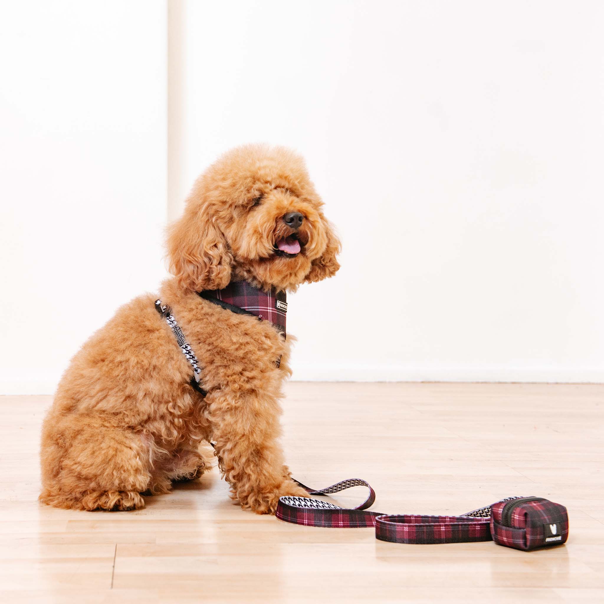 Frenchie Comfort Leash - Classic Plaid - Image 4