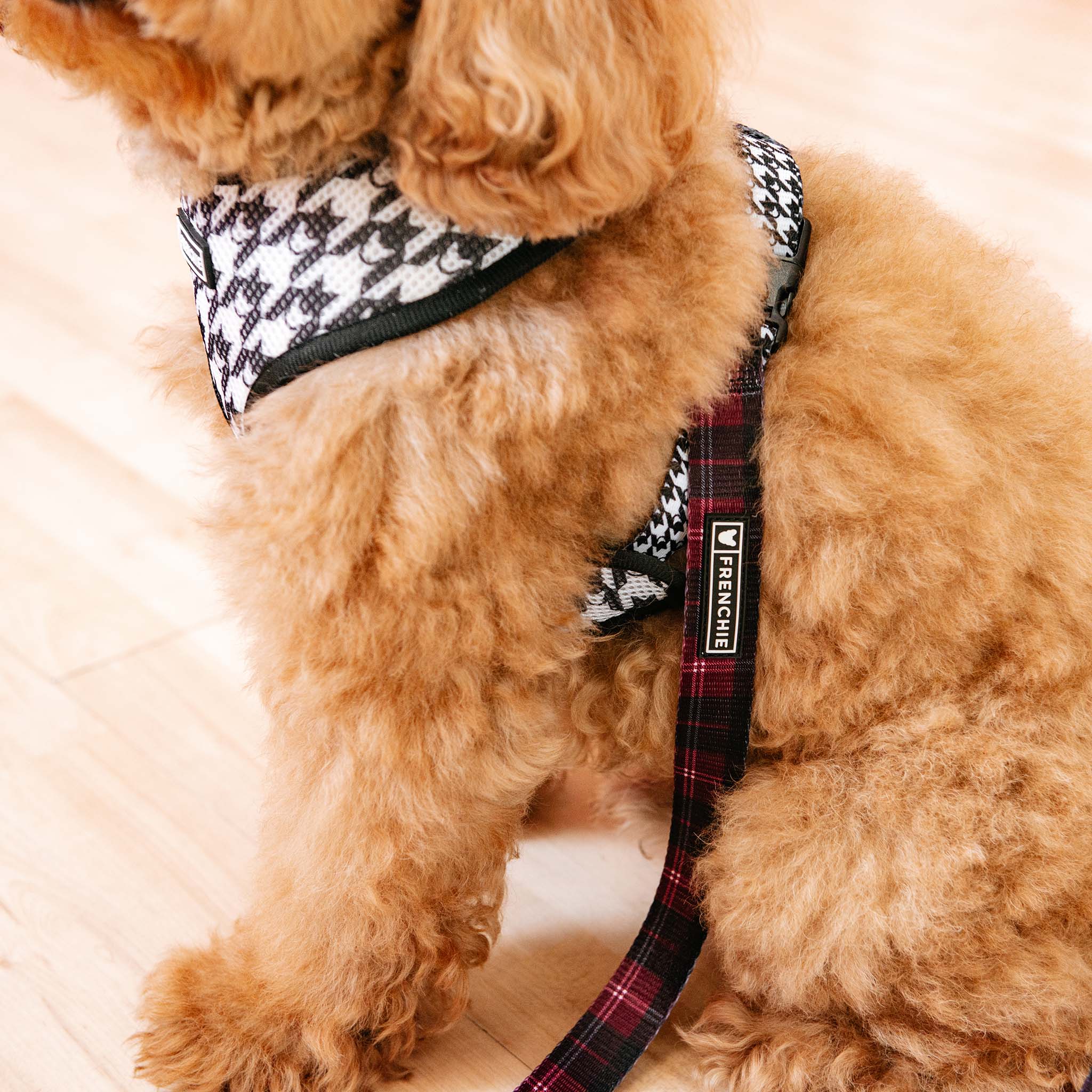 Frenchie Comfort Leash - Classic Plaid - Image 5