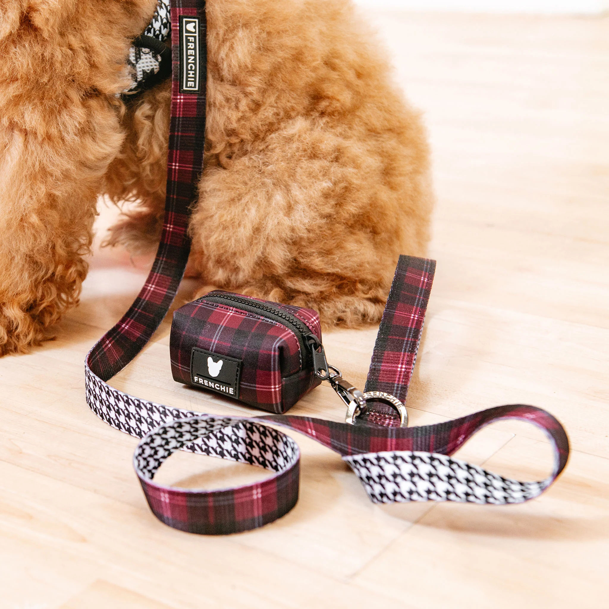 Frenchie Comfort Leash - Classic Plaid - Image 6