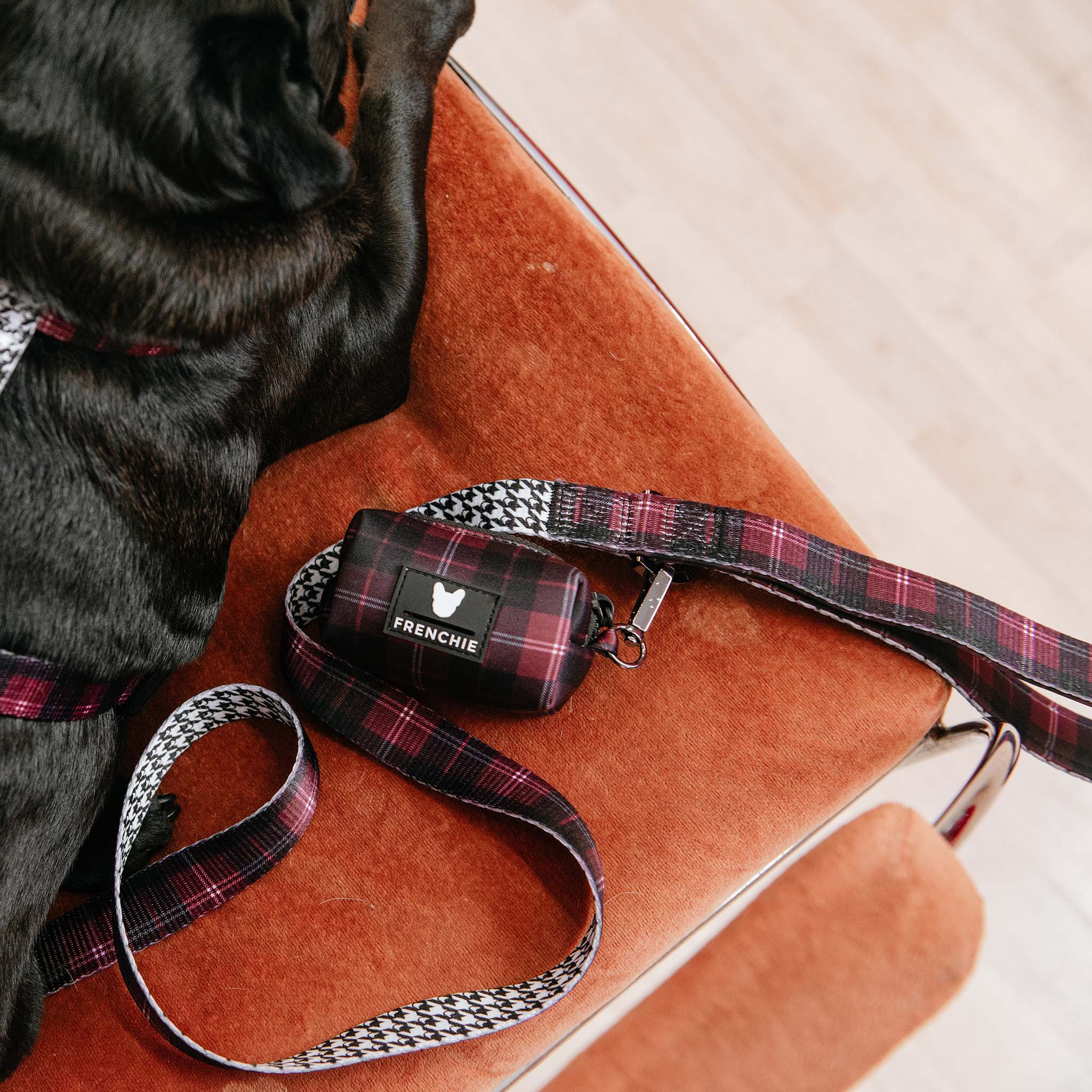 Frenchie Comfort Leash - Classic Plaid - Image 8