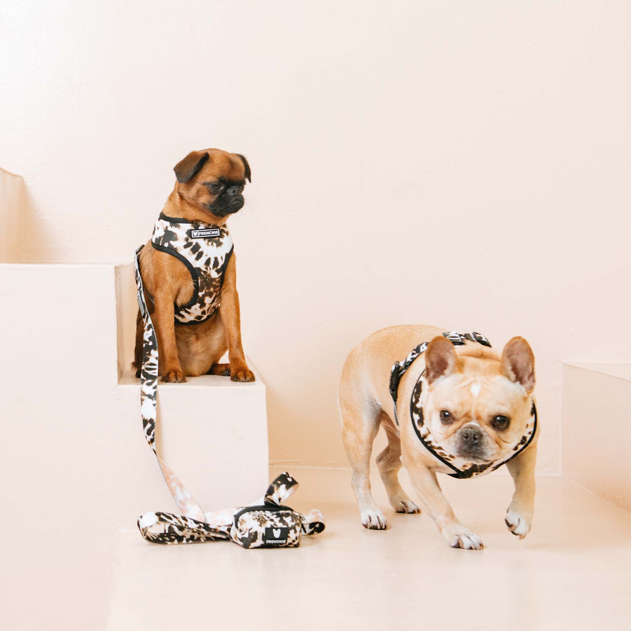 Frenchie Comfort Leash - Earthy Tie Dye - Image 2