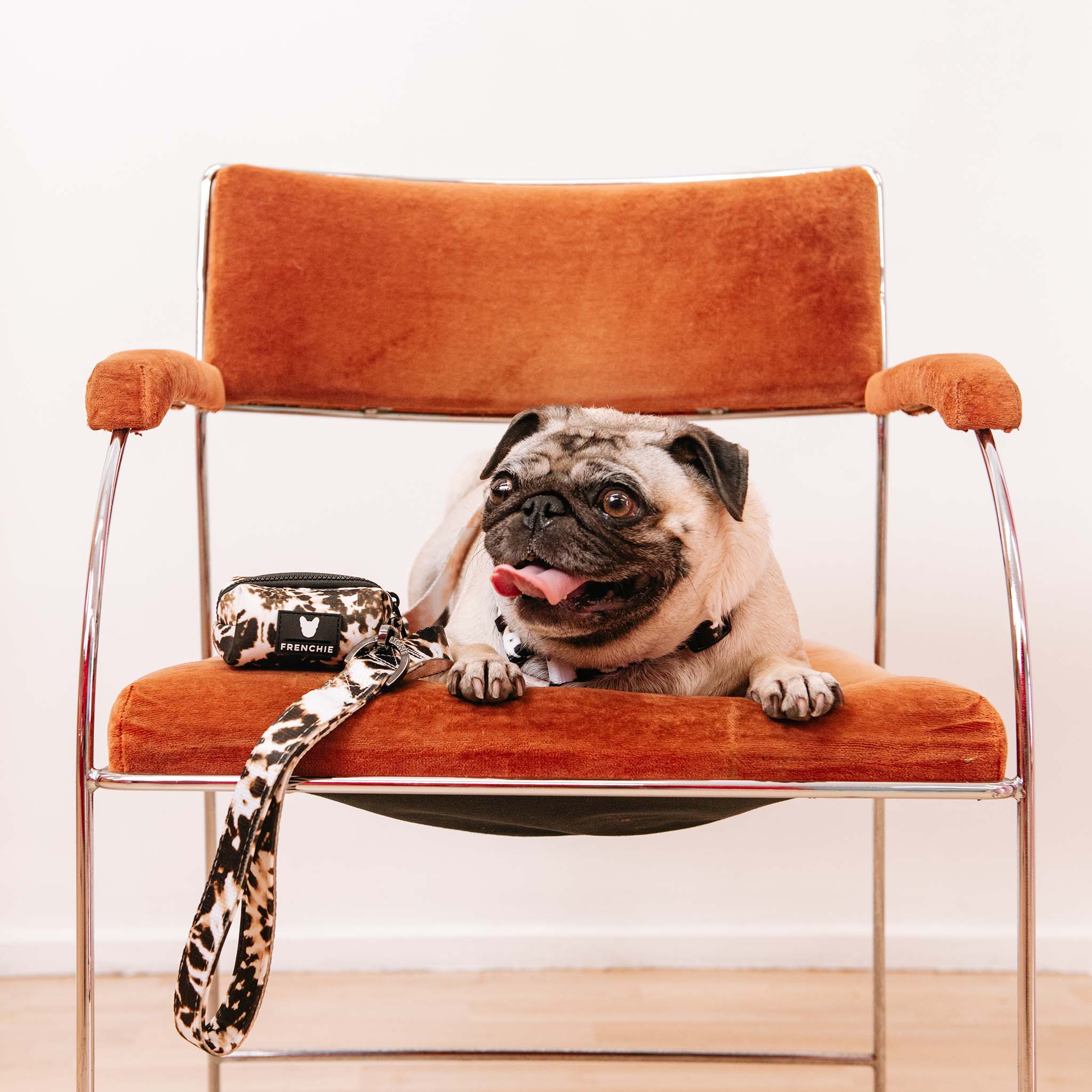 Frenchie Comfort Leash - Earthy Tie Dye - Image 3