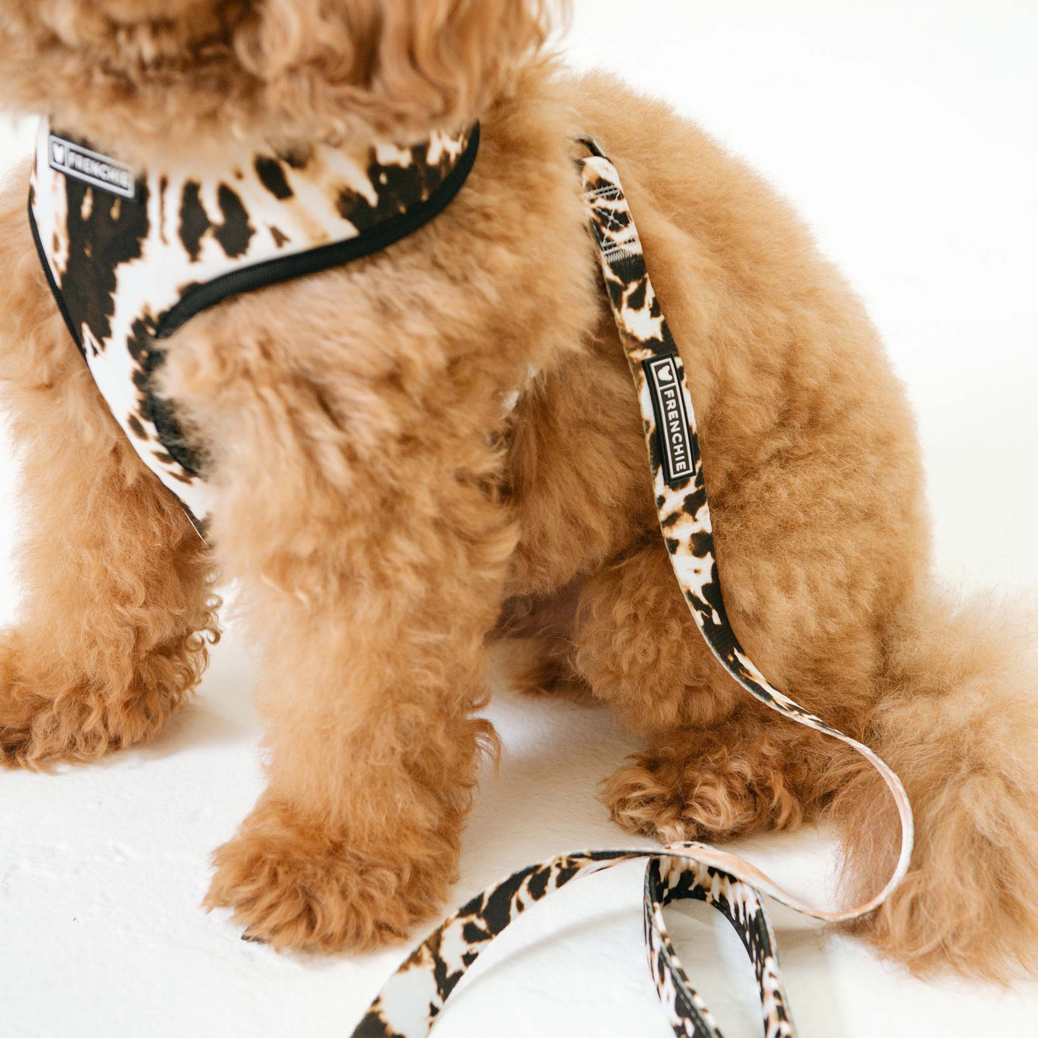 Frenchie Comfort Leash - Earthy Tie Dye - Image 6