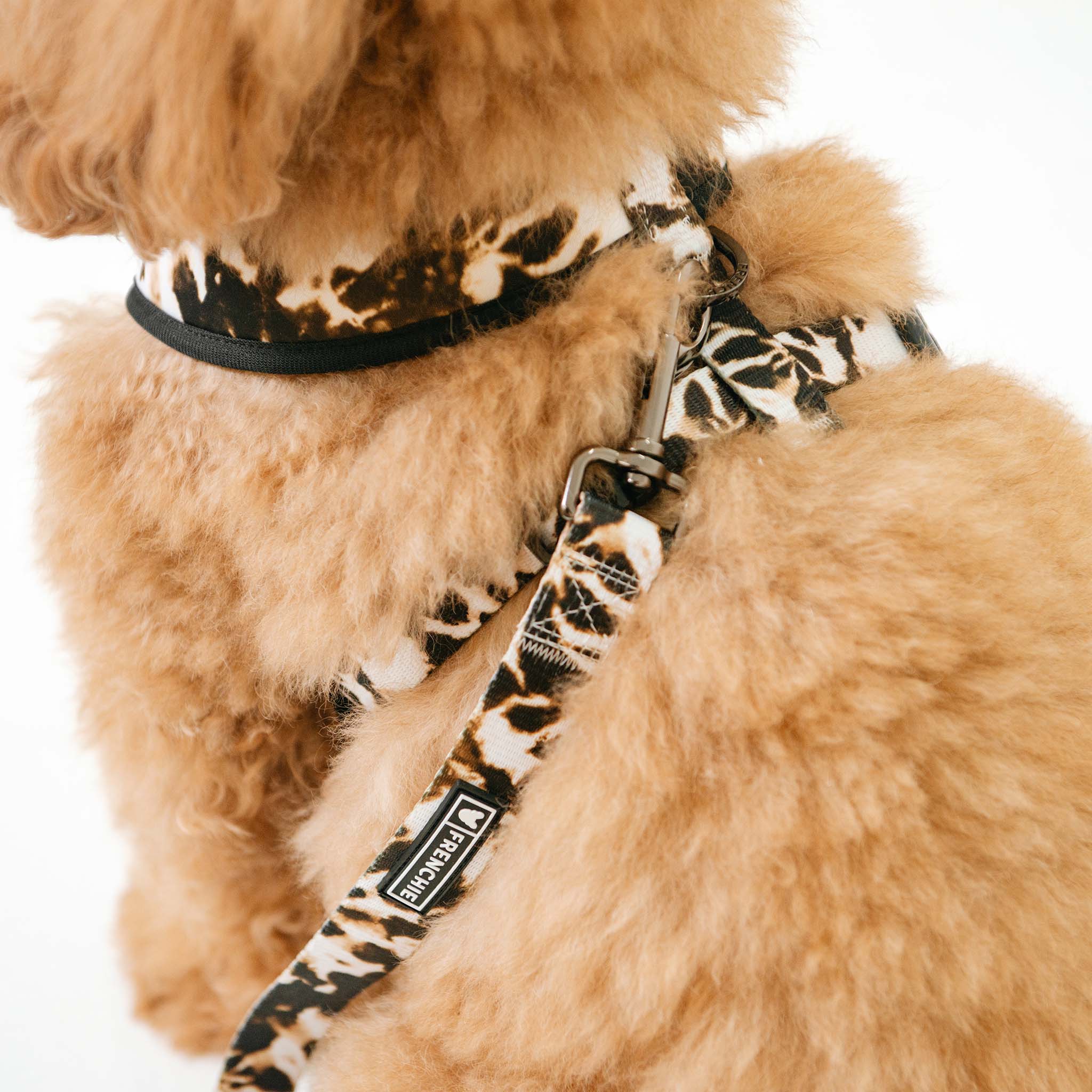 Frenchie Comfort Leash - Earthy Tie Dye - Image 8