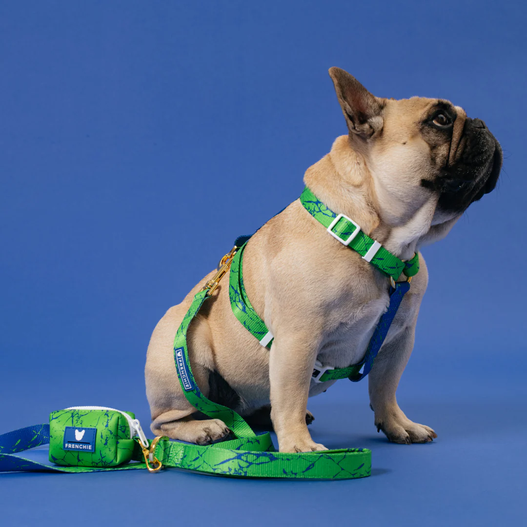 Frenchie Comfort Leash - Green Marble - Image 4
