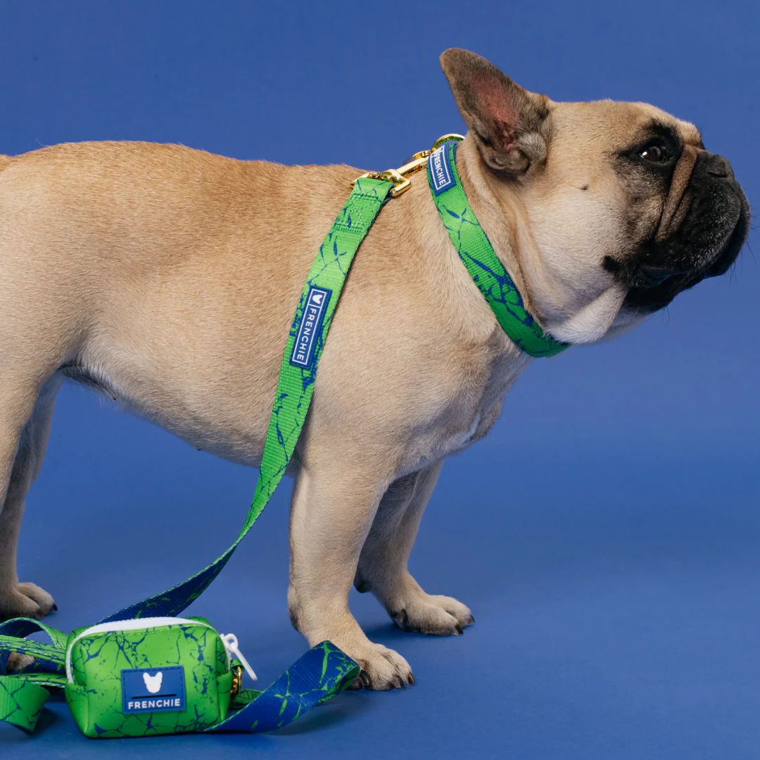 Frenchie Comfort Leash - Green Marble - Image 5