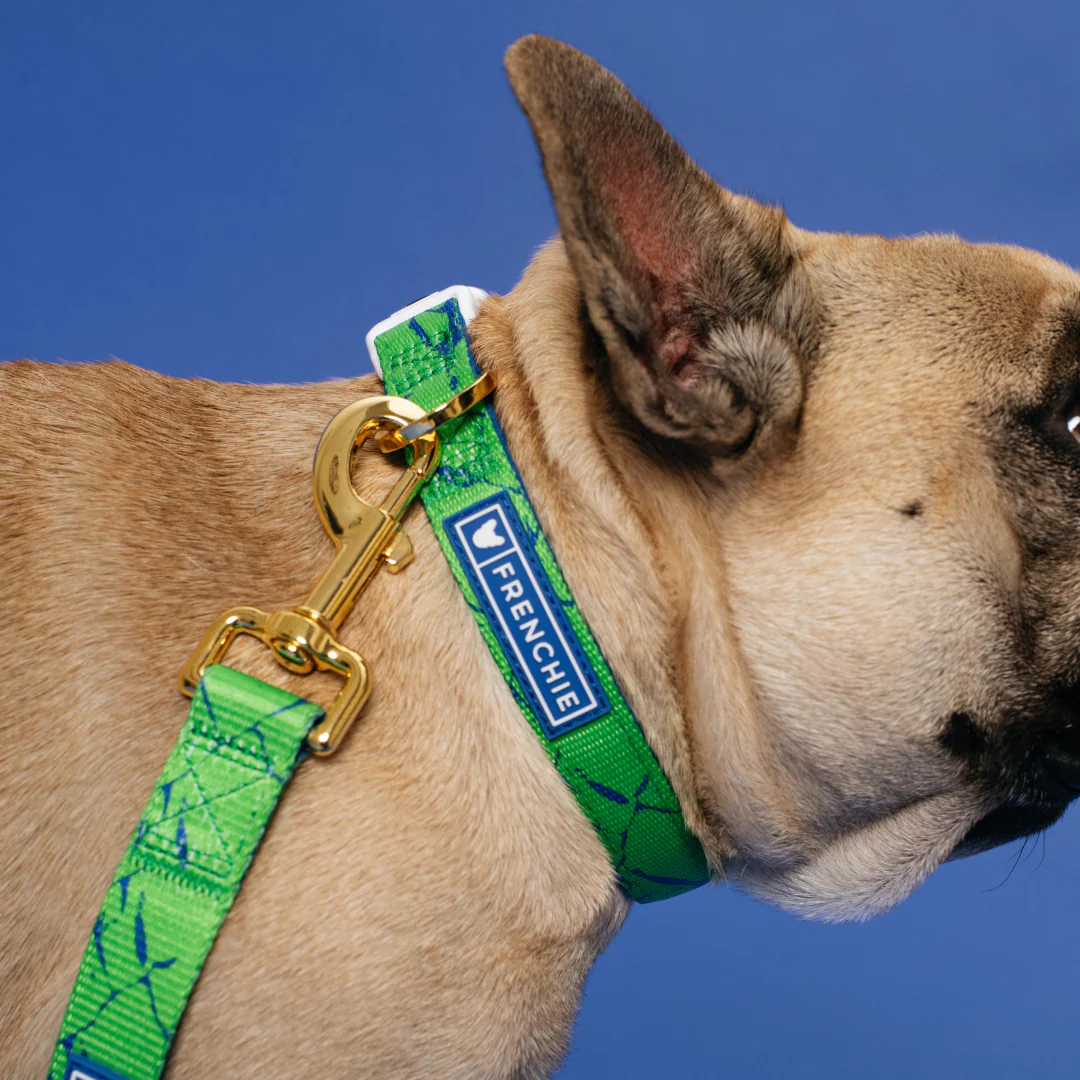 Frenchie Comfort Leash - Green Marble - Image 6