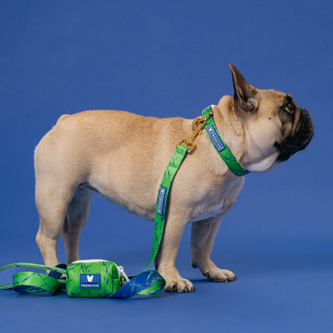 Frenchie Comfort Leash - Green Marble - Image 7