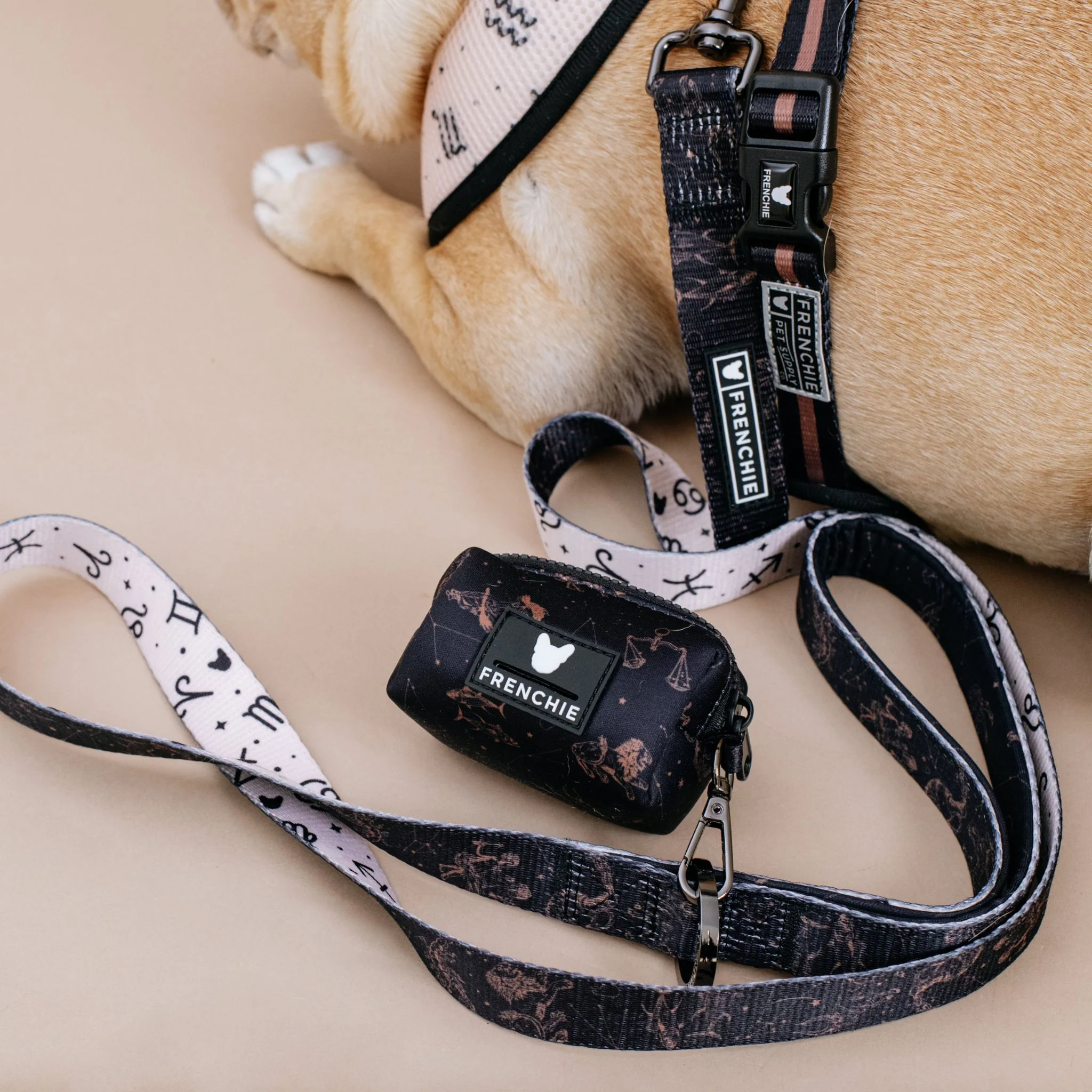 Frenchie Comfort Leash - Horoscope - Image 2