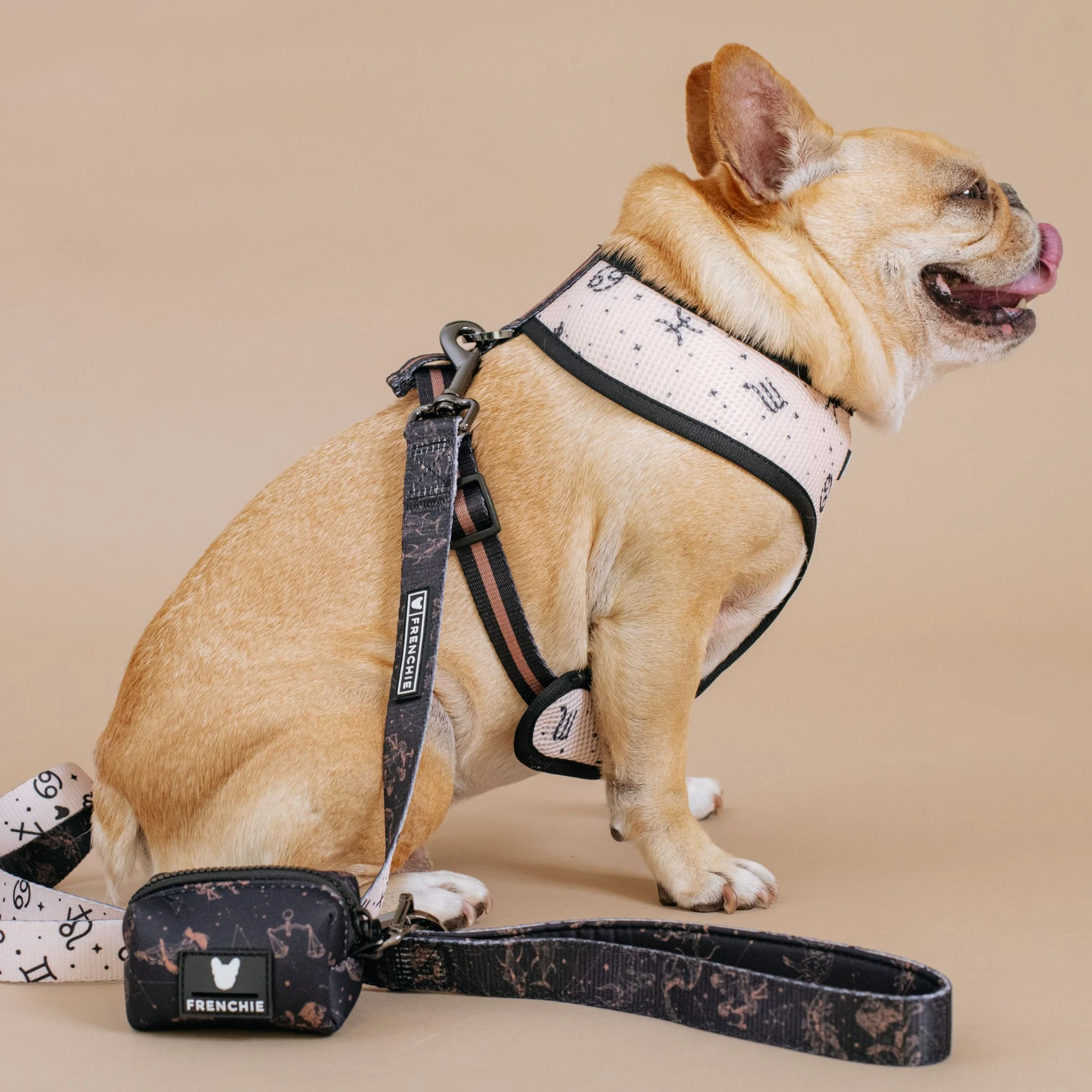 Frenchie Comfort Leash - Horoscope - Image 3