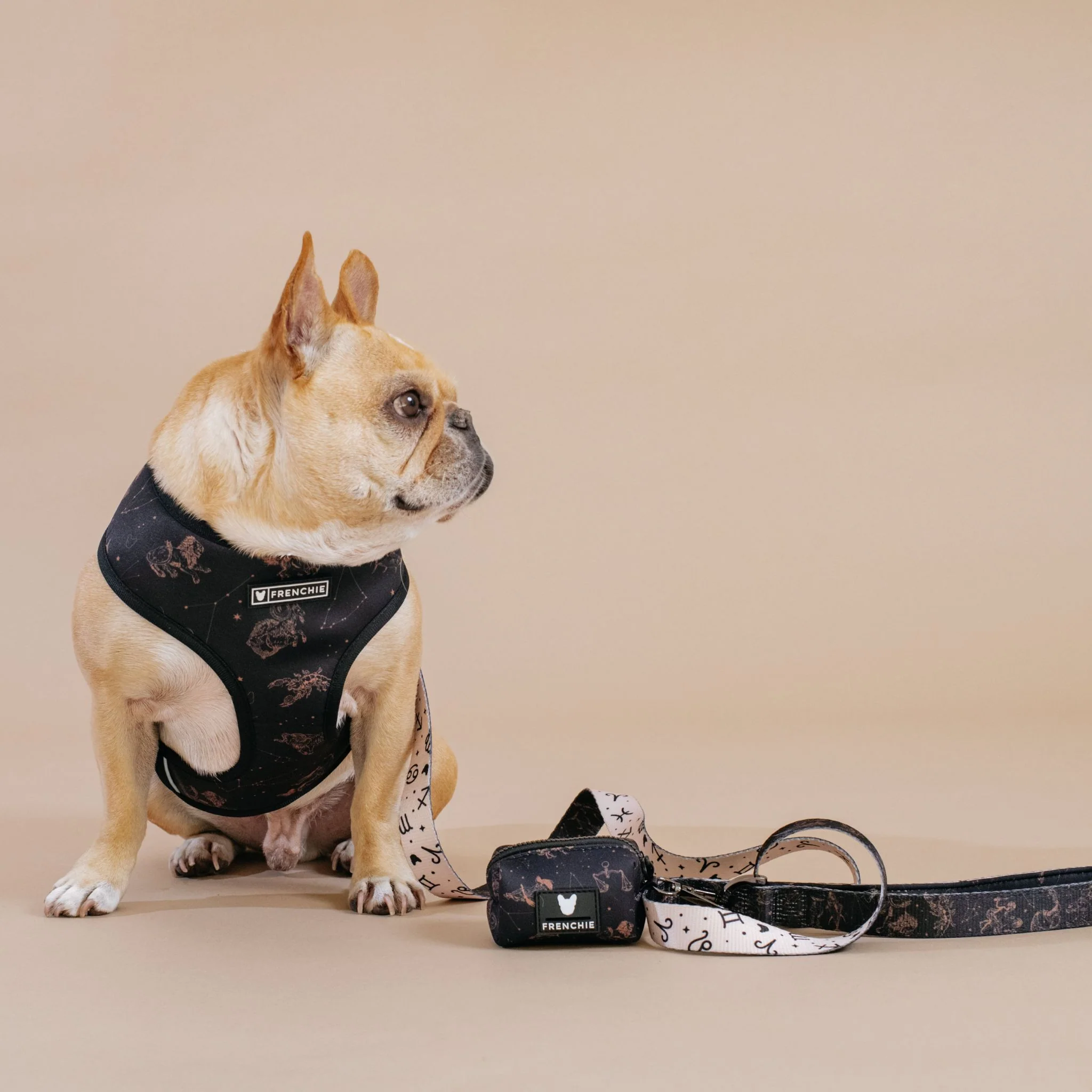 Frenchie Comfort Leash - Horoscope - Image 5