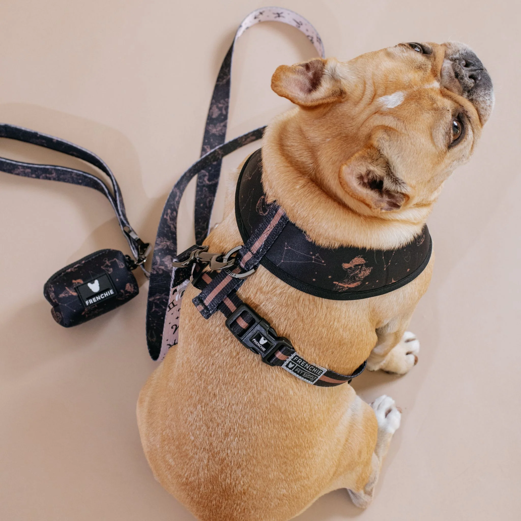 Frenchie Comfort Leash - Horoscope - Image 6