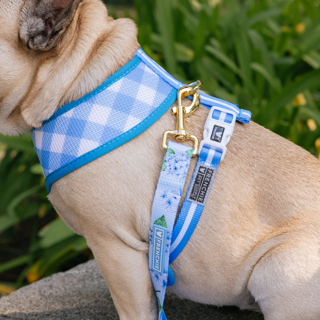 Frenchie Comfort Leash - Hydrangea - Image 2