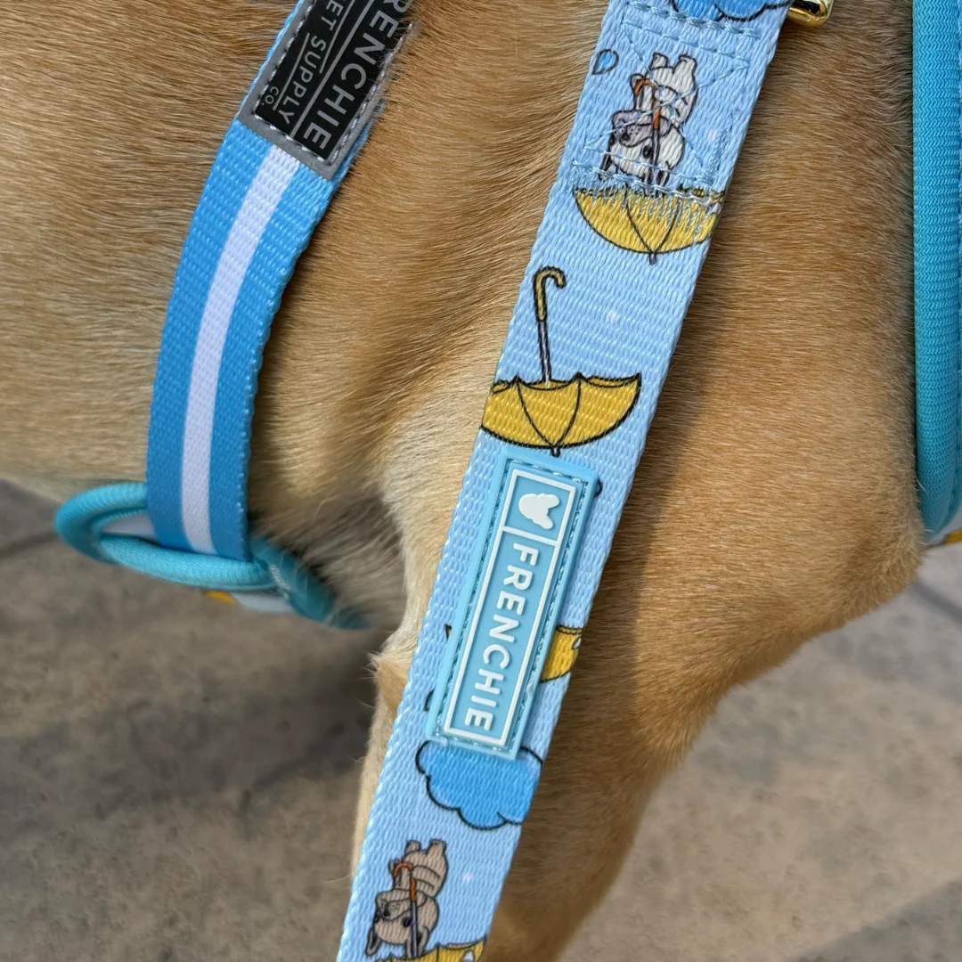 Frenchie Comfort Leash - It's Raining Frenchies - Image 3