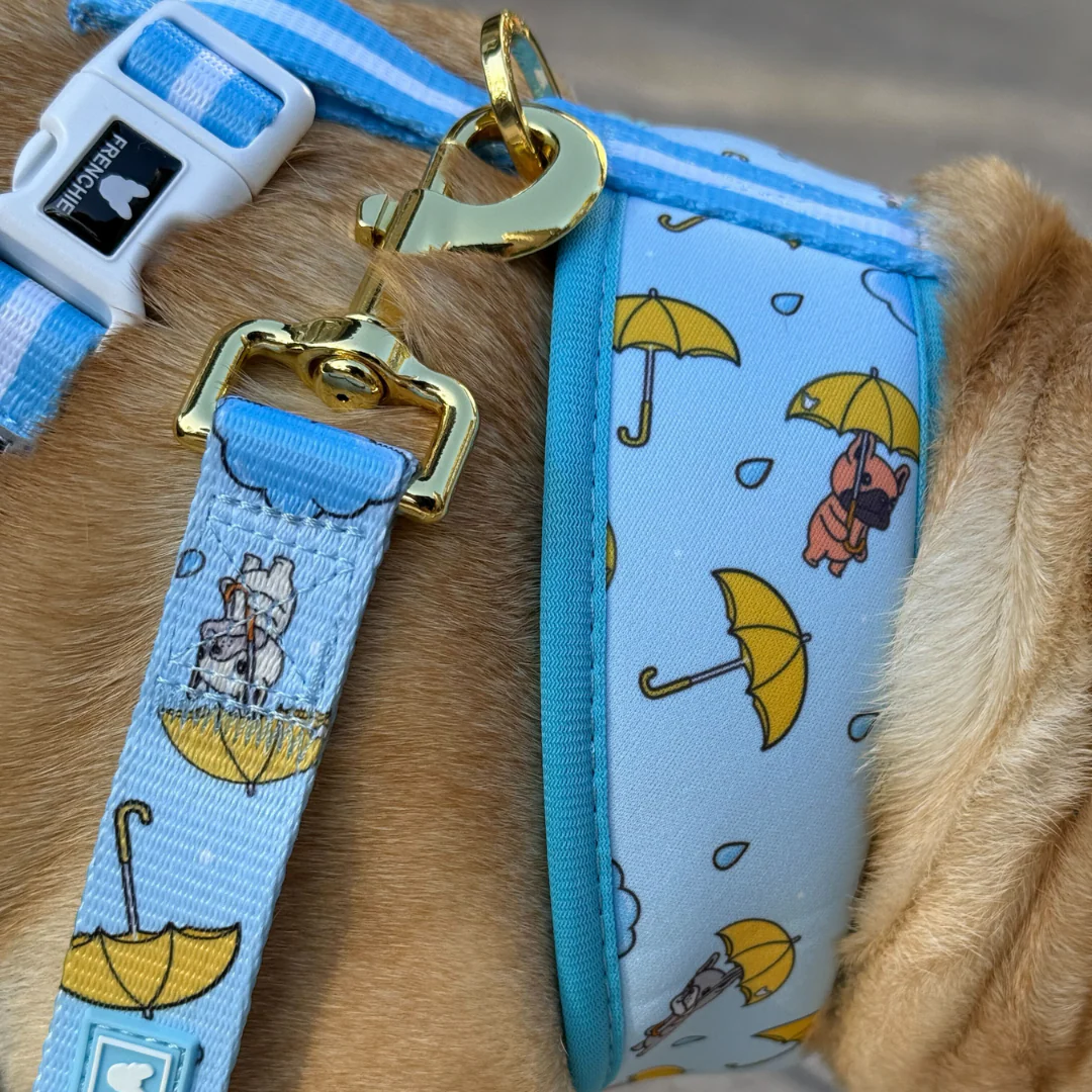Frenchie Comfort Leash - It's Raining Frenchies - Image 5