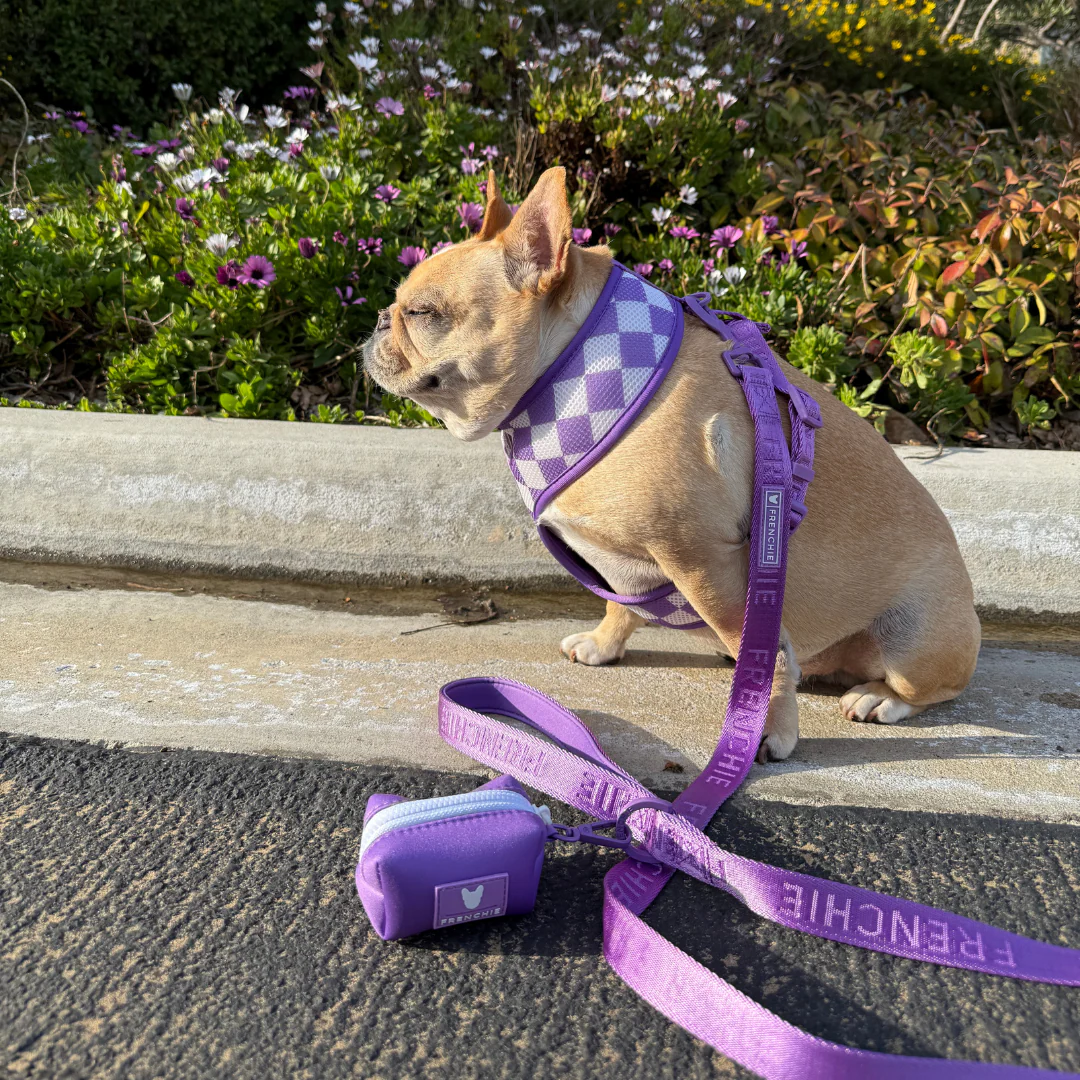 Frenchie Comfort Leash - Solid Purple - Image 2