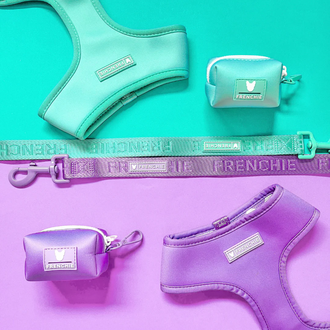 Frenchie Duo Reversible Harness - Solid Aqua - Image 7