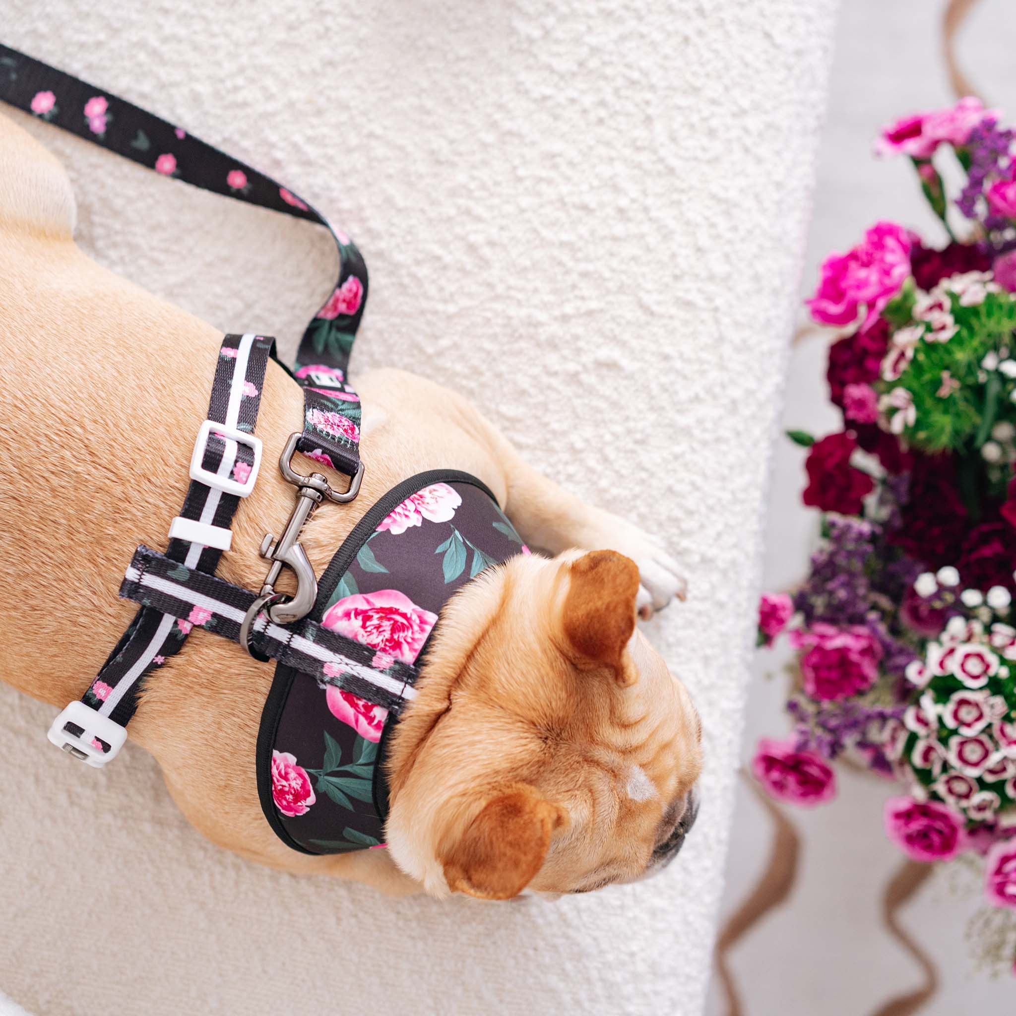 Frenchie Comfort Leash - Moody Floral - Image 2