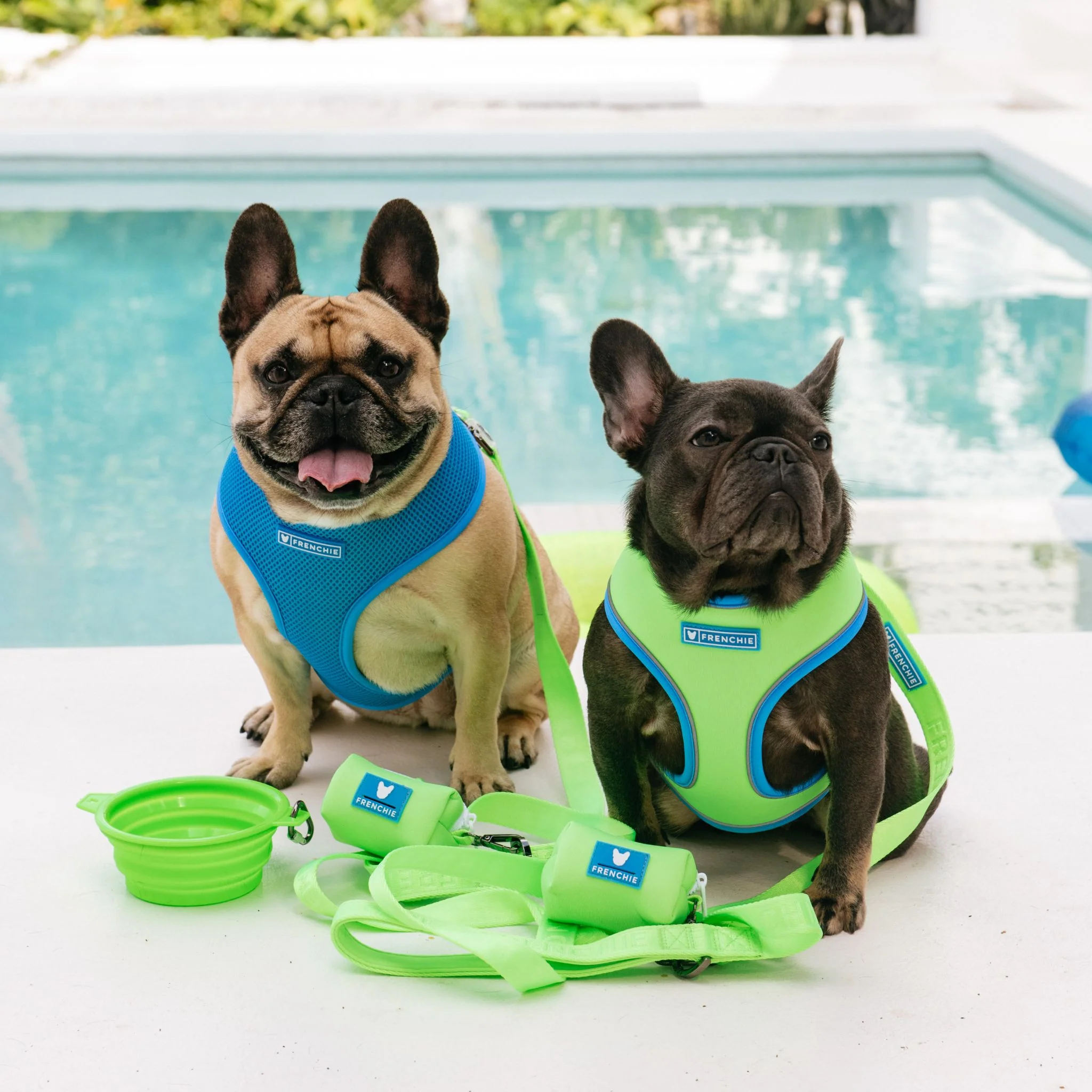 Frenchie Comfort Leash - Neon Green - Image 2