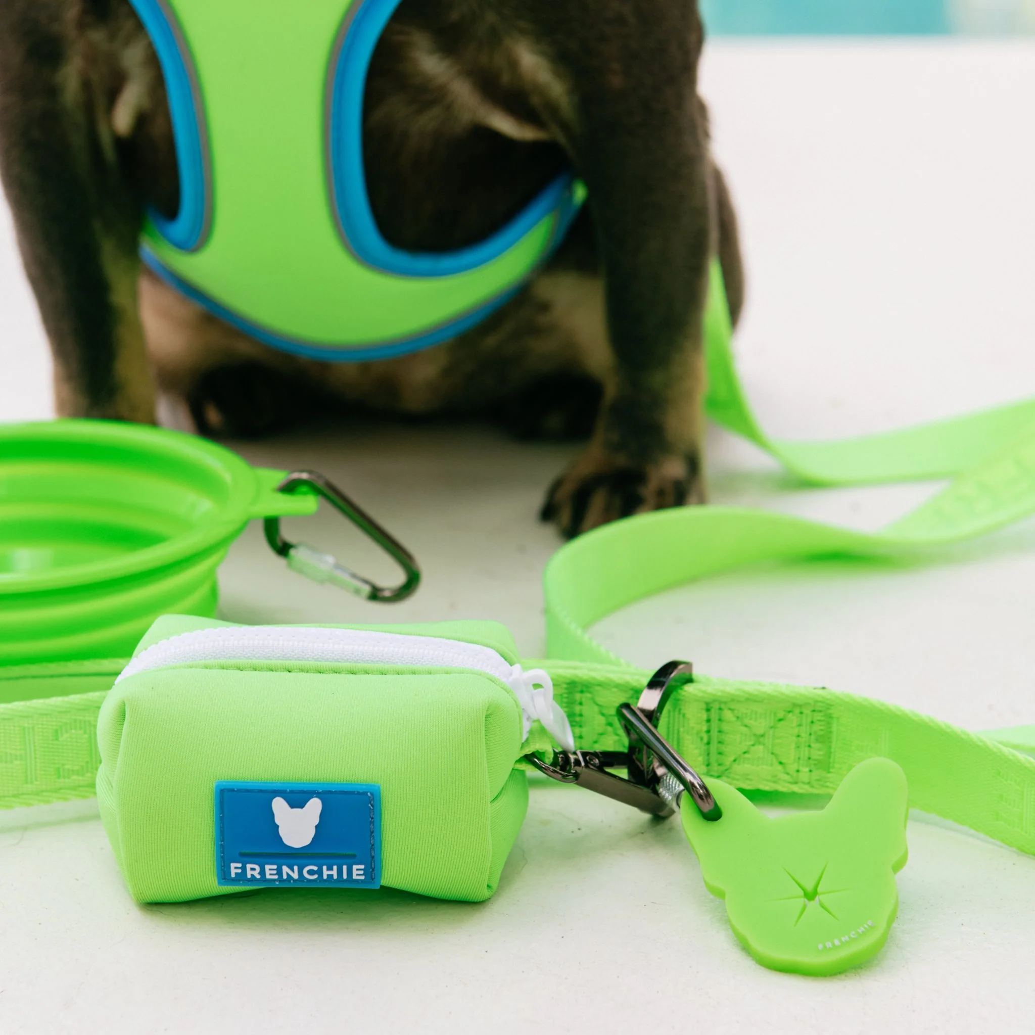 Frenchie Comfort Leash - Neon Green - Image 7