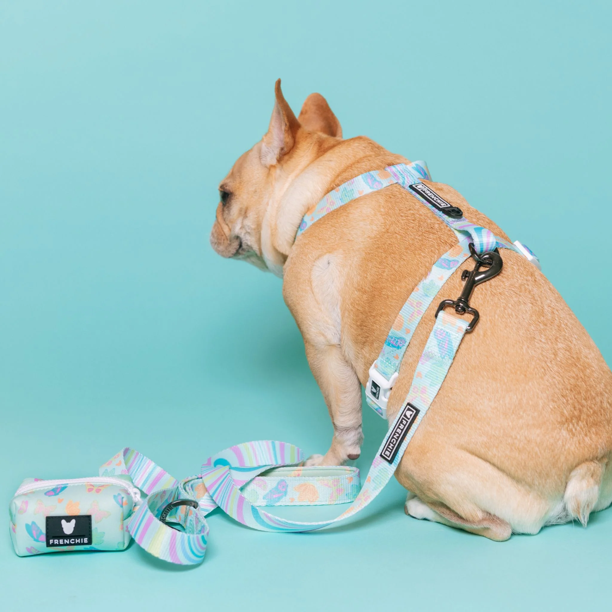 Frenchie Comfort Leash - Pastel Butterfly - Image 2
