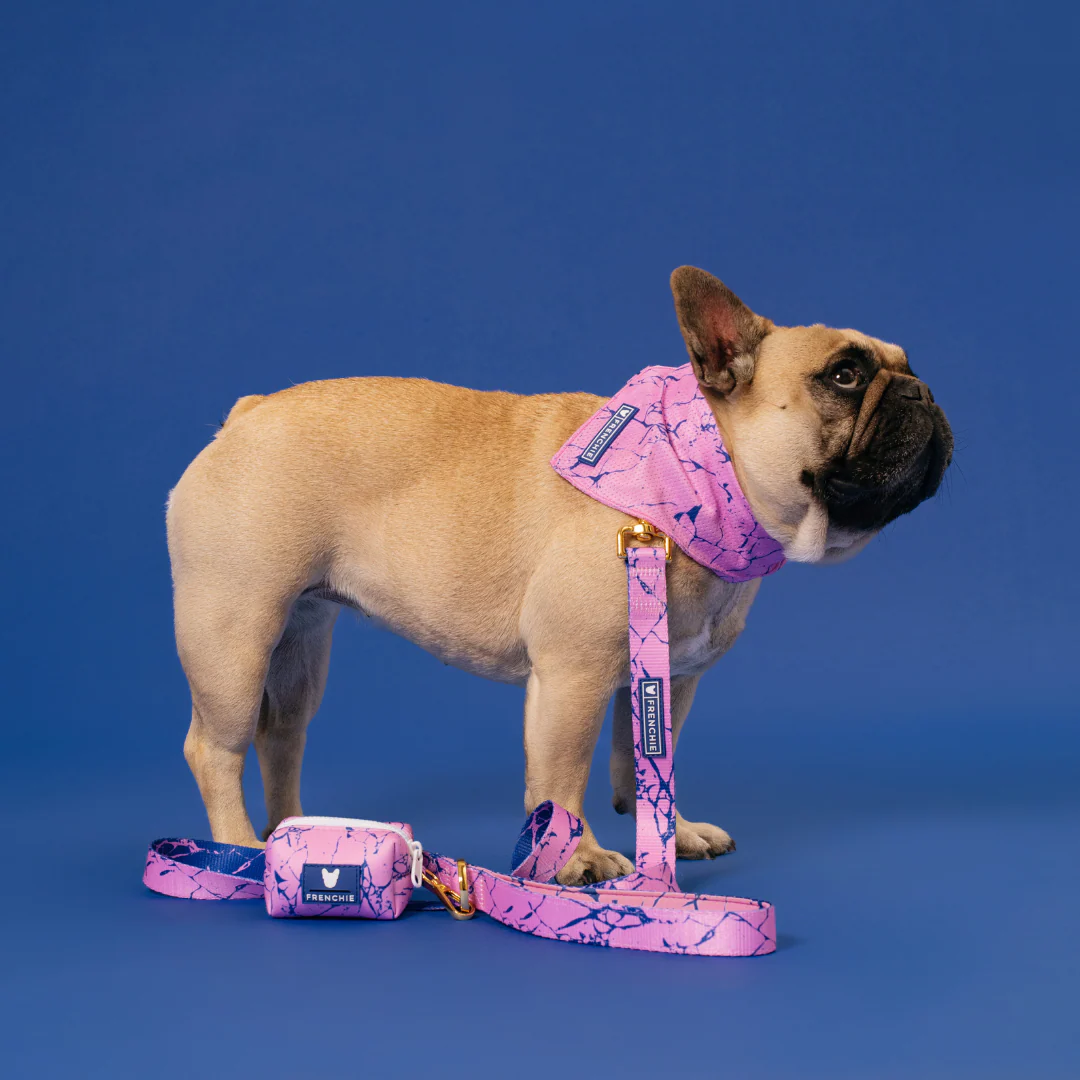 Frenchie Comfort Leash - Pink Marble - Image 5