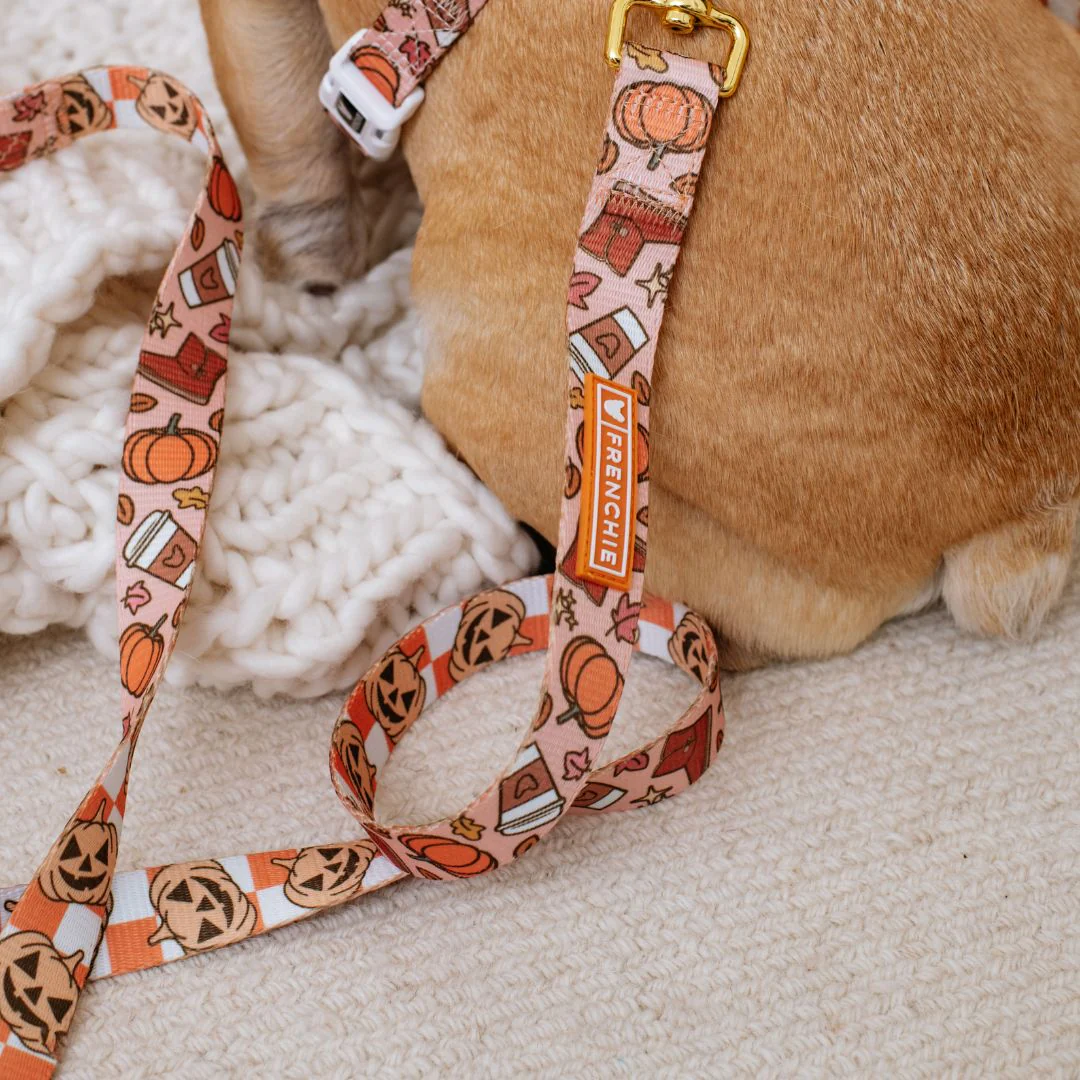 Frenchie Comfort Leash - Pumpkin Spice Latte - Image 4