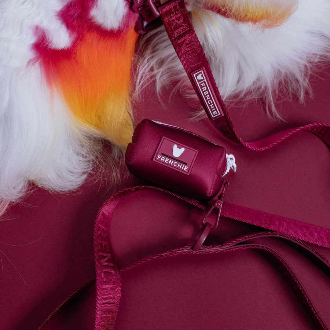 Frenchie Comfort Leash - Solid Ruby - Image 3