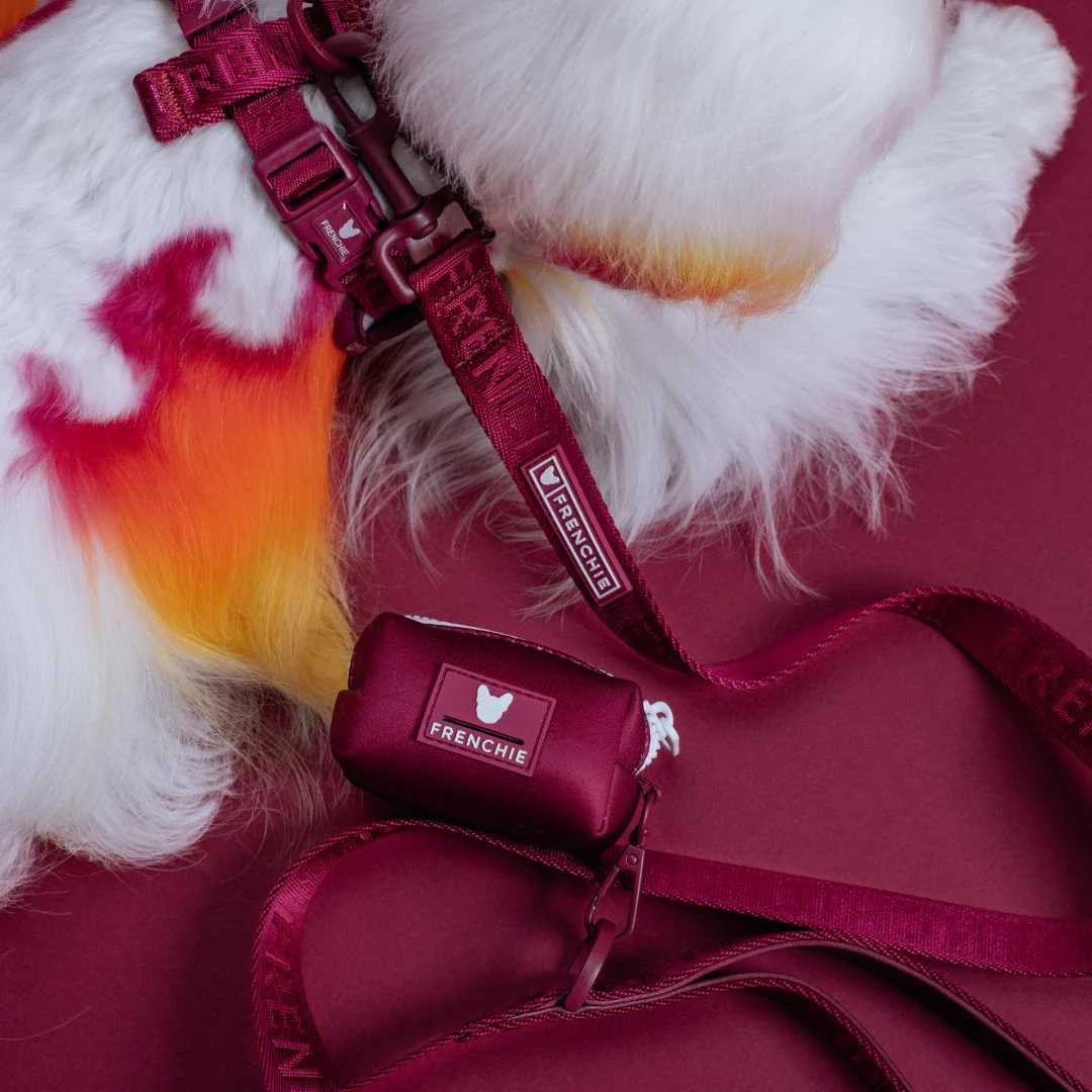 Frenchie Comfort Leash - Solid Ruby - Image 5