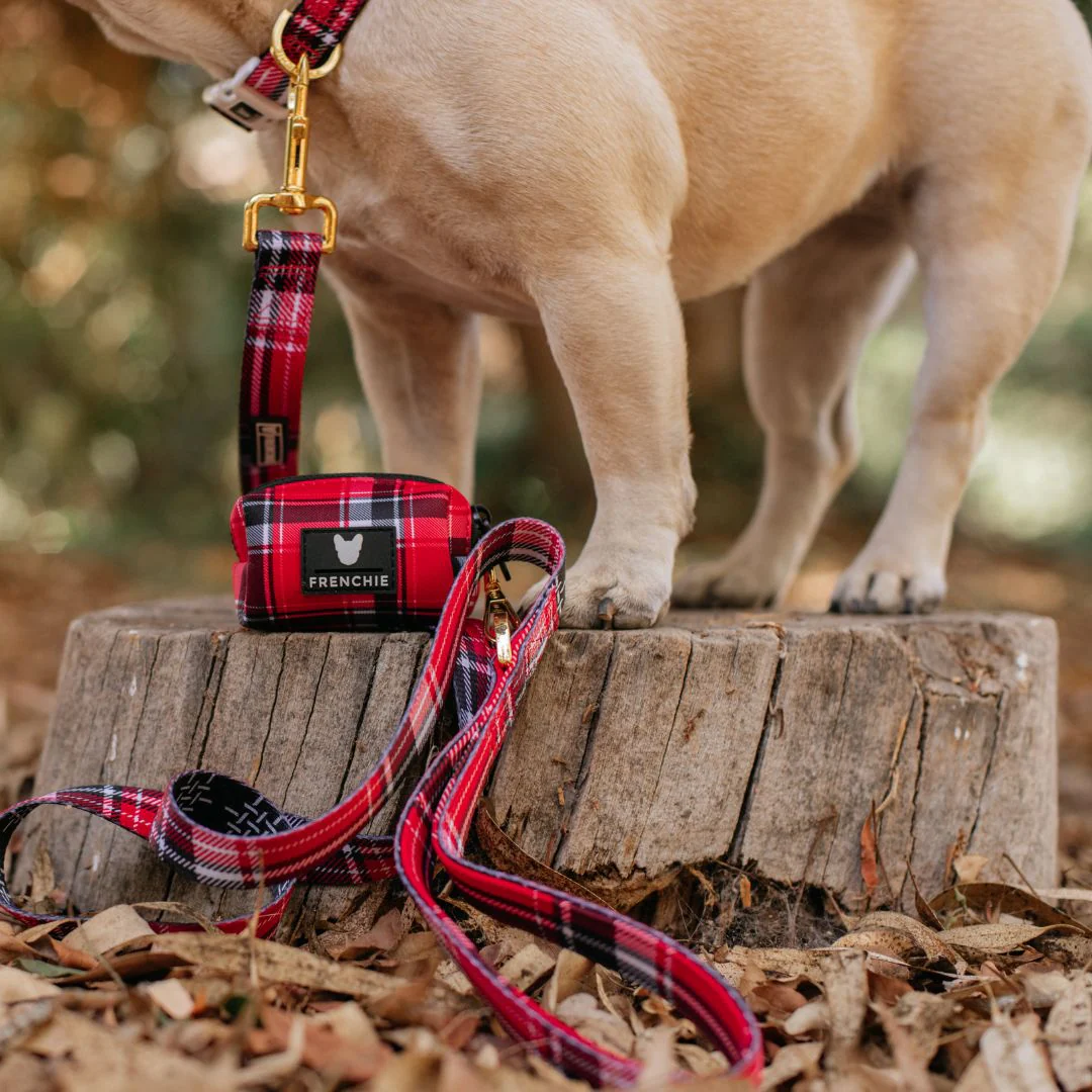Frenchie Comfort Leash - Scarlet Plaid - Image 2