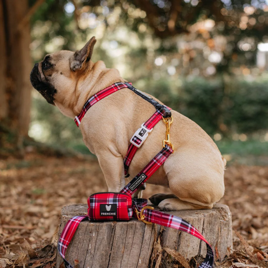 Frenchie Comfort Leash - Scarlet Plaid - Image 6