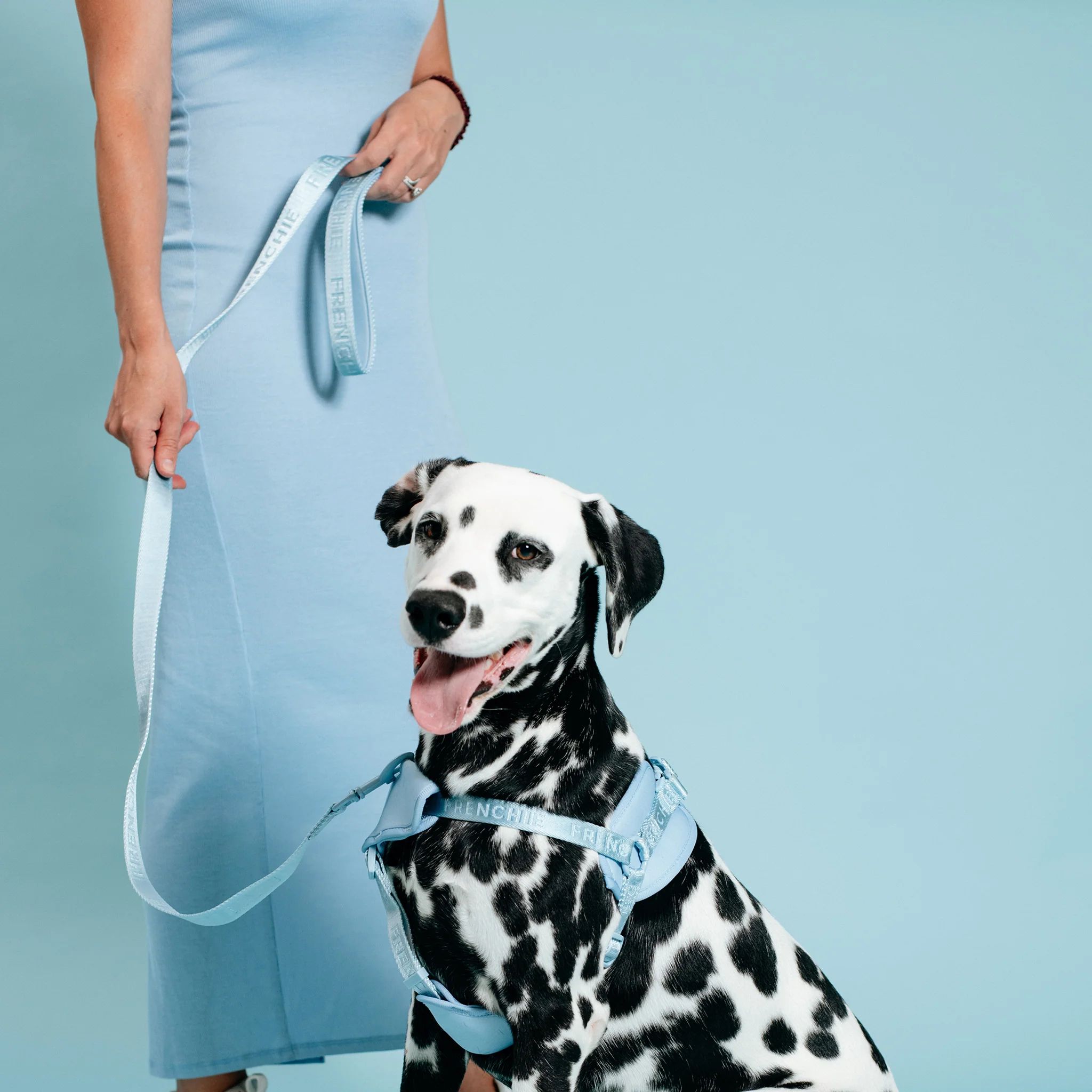 Frenchie Comfort Leash - Sky Blue - Image 2