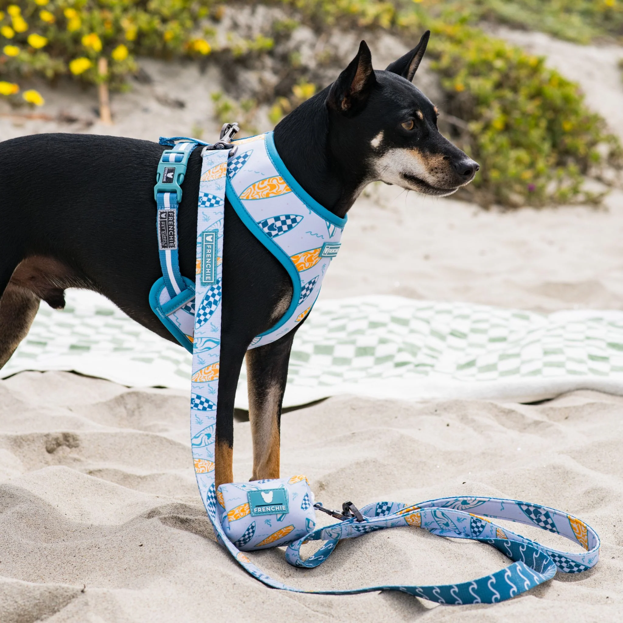 Frenchie Comfort Leash - Surfboard - Image 3