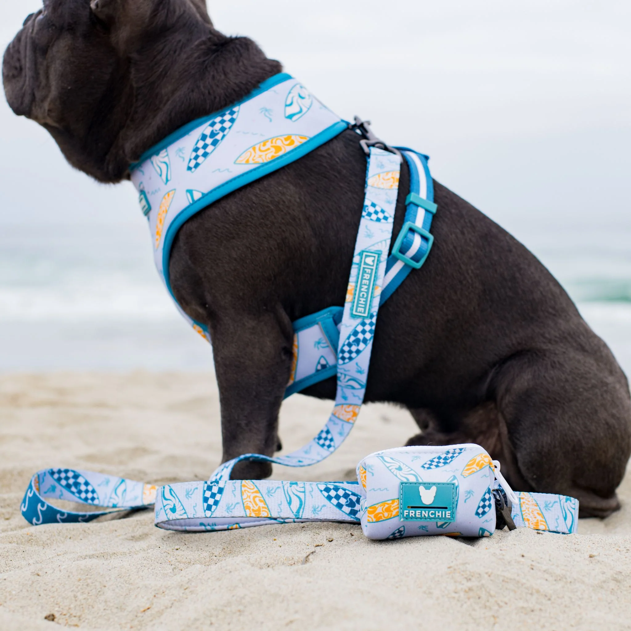 Frenchie Comfort Leash - Surfboard - Image 4